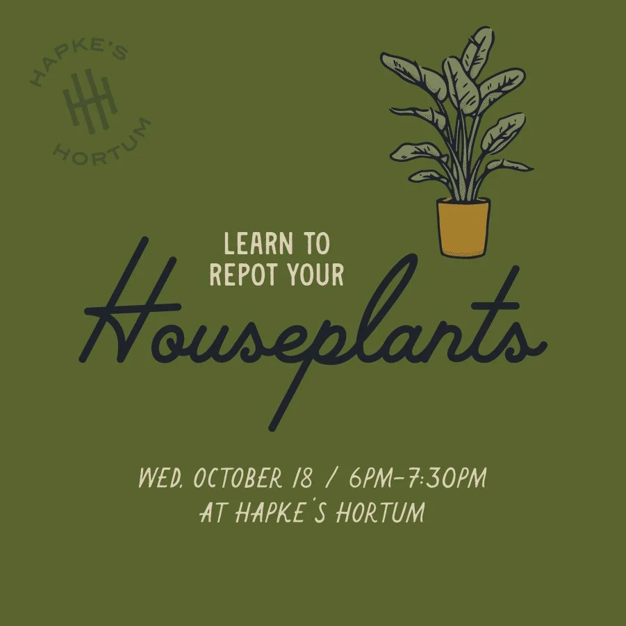 Repotting Class