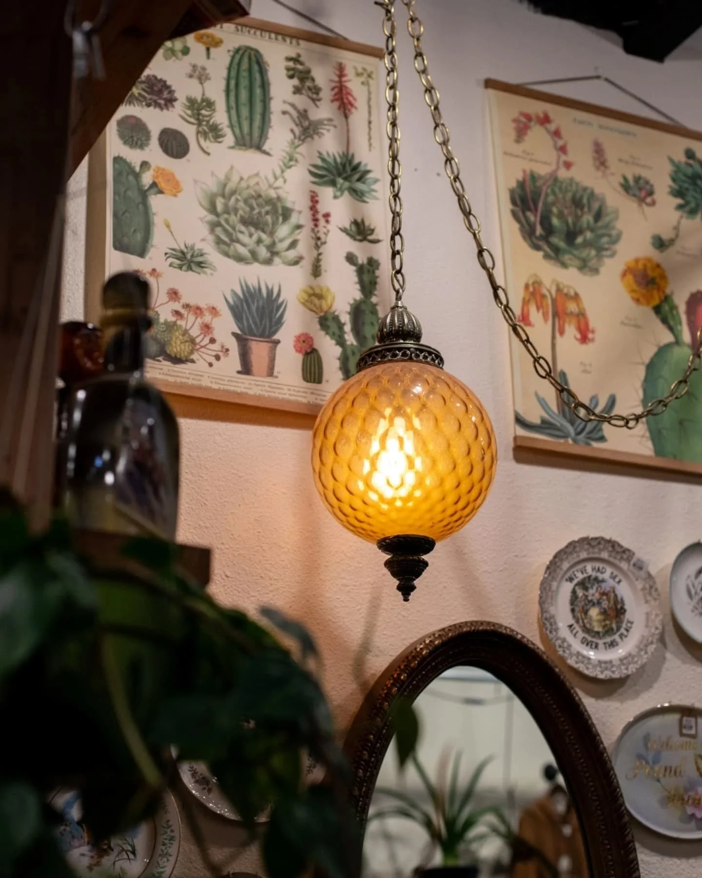 🎪✨ Step right up, folks, and welcome to the Parlour Room Antiques corner of Hapke&rsquo;s
Hortum; where the weird is wonderful and the wonderful is weird! 🕰🃏

From oddities to heirlooms, this is the place where vintage flair dances with eccentri