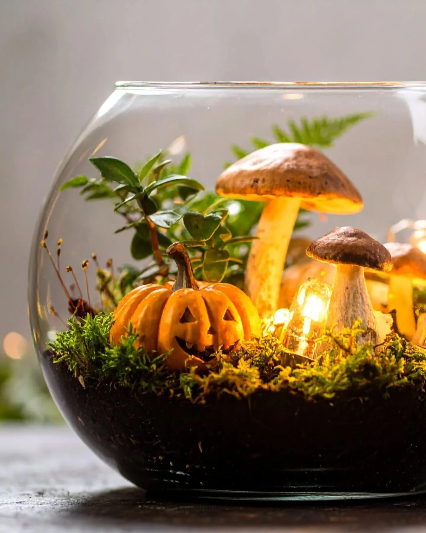🎃👻 It&rsquo;s spooky season at Hapke&rsquo;s Hortum! 
Join us for a Halloween-themed Terrarium
Workshop and create your very own open-faced garden oasis. 🌿✨

🗓 Dates:
● Friday, Oct 10 | 6:30&ndash;8:30pm
● Friday, Oct 24 | 6:30&ndash;8:30pm

