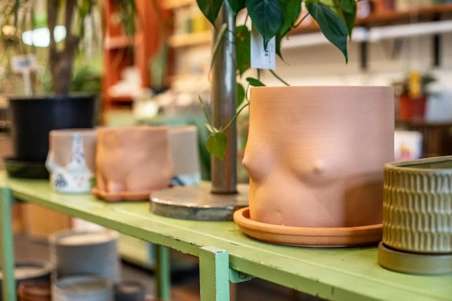🎃💃 Your plants deserve a little costume magic too! 
Our GroupPartner pots are full of personality, attitude, and style. Each one is handmade in Brooklyn and totally unique (kind of like your best Halloween costume idea 👀).

So go ahead&hellip; pl