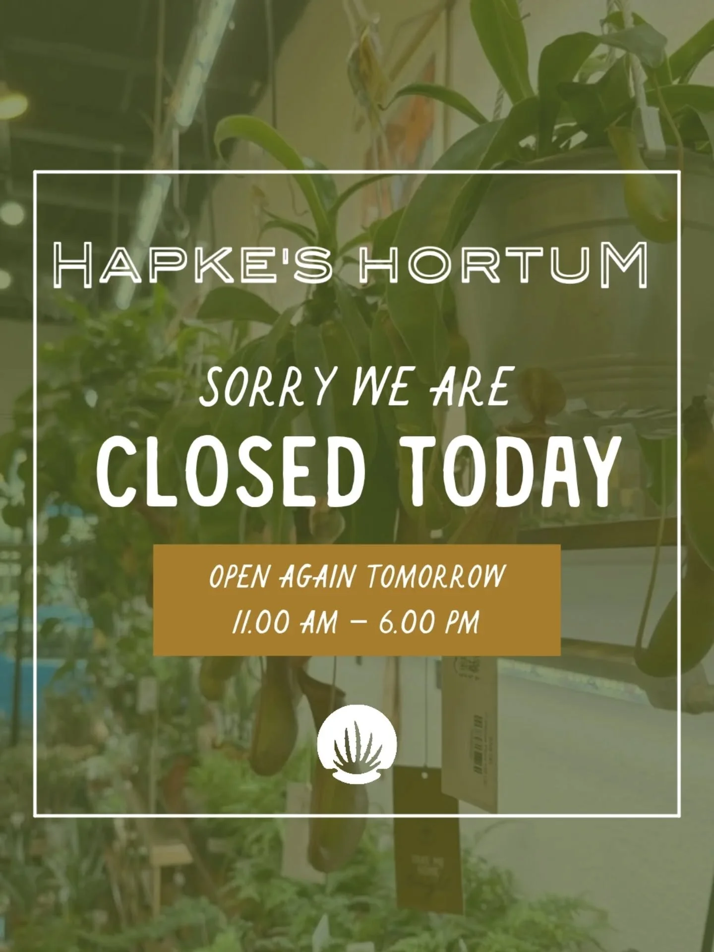 We&rsquo;re taking a little pause today due to some unexpected technical difficulties; the plants are fine, but our systems need a moment to catch their breath! 💚

We&rsquo;ll be back open soon, ready to help you find your next green friend and all 