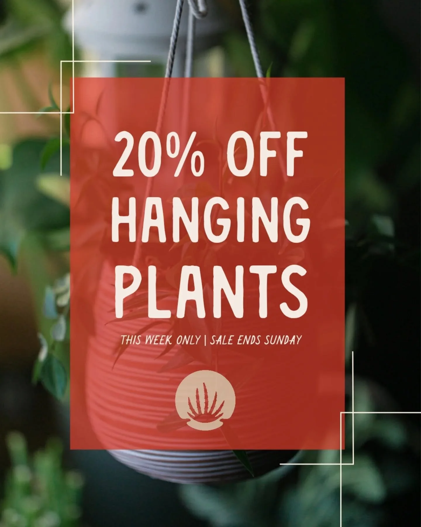 It might be snowing outside, but inside the shop? YOU GUYS&hellip; it&rsquo;s basically a tropical vacation without the TSA line. 🌴✨ Warm, cozy, leafy, and thriving; like your dream jungle hideaway, but with better parking.

And the best part? All 