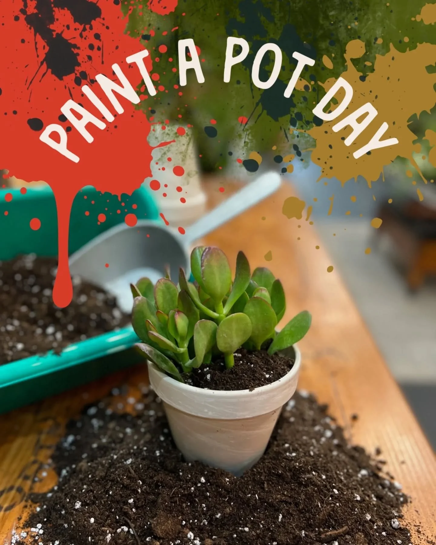 PAINT A POT DAY: TODAY!
It&rsquo;s one of our favorite days in the shop!

Grab your friends, bring the family, and yes, invite those out-of-town guests too. Pick a pot, paint it your way, choose a plant, and we&rsquo;ll pot it up for you. Easy, cre