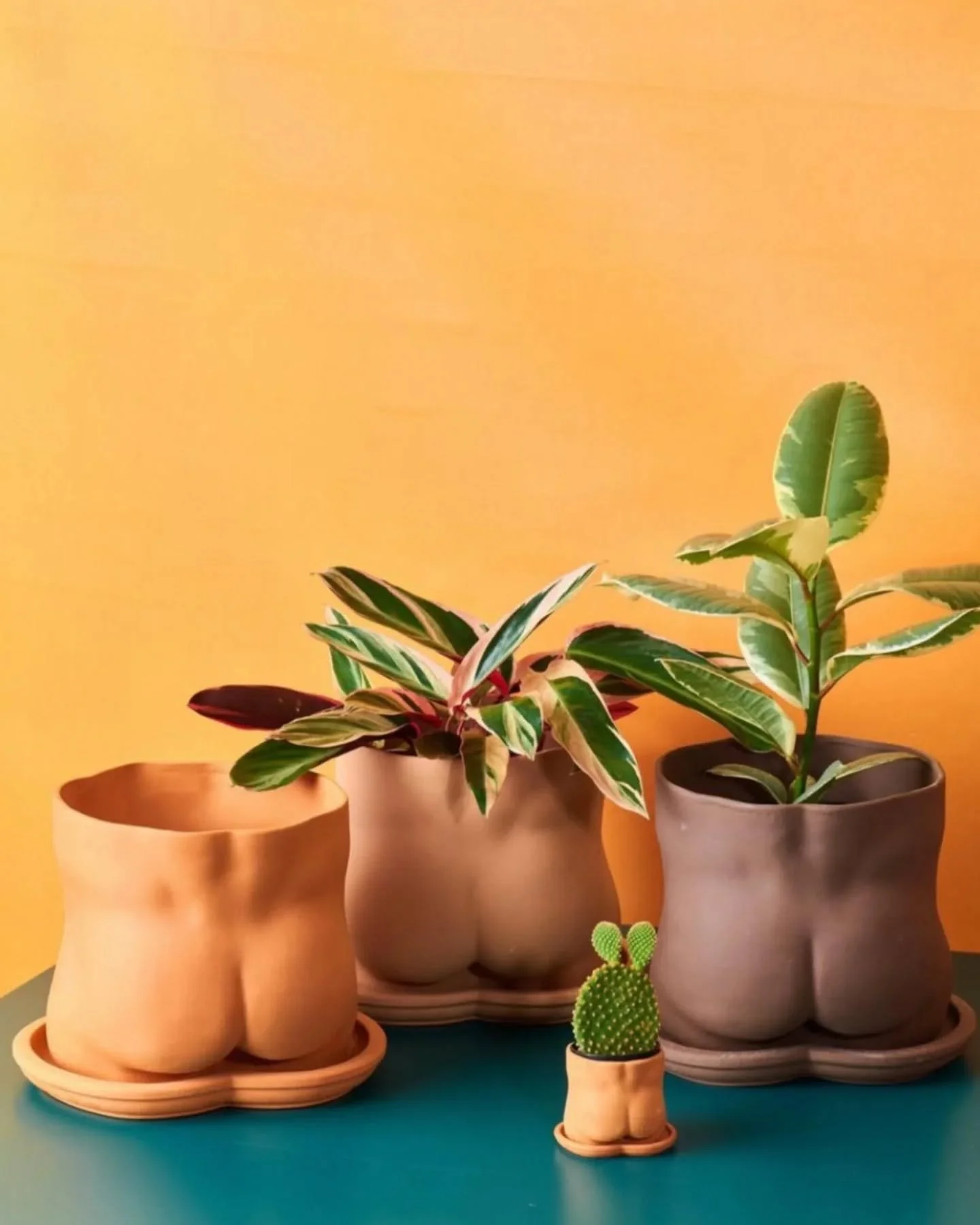 We&rsquo;re talking plant essentials 🌱

✨ 20% OFF pots &amp; plant supplies; today through Sunday!

That includes:
🪴 Pots
🌱 Seeds
🌿 Plant food &amp; care products
🧱 ALL soil bags

Our stock is always changing, so stop in to see what new f