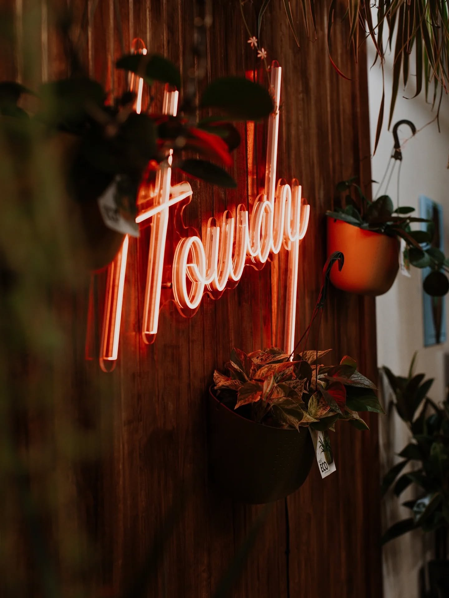 Holiday hours, but make it ✨planty✨ 🎄🌿

Because even our plants need a little beauty rest.

󰵖 Christmas Eve: Open until 4pm (last-minute plant magic encouraged)
🎁 Dec 25 &amp; 26: CLOSED : cozying up + watering vibes only
🎉 New Year&rsquo;s 