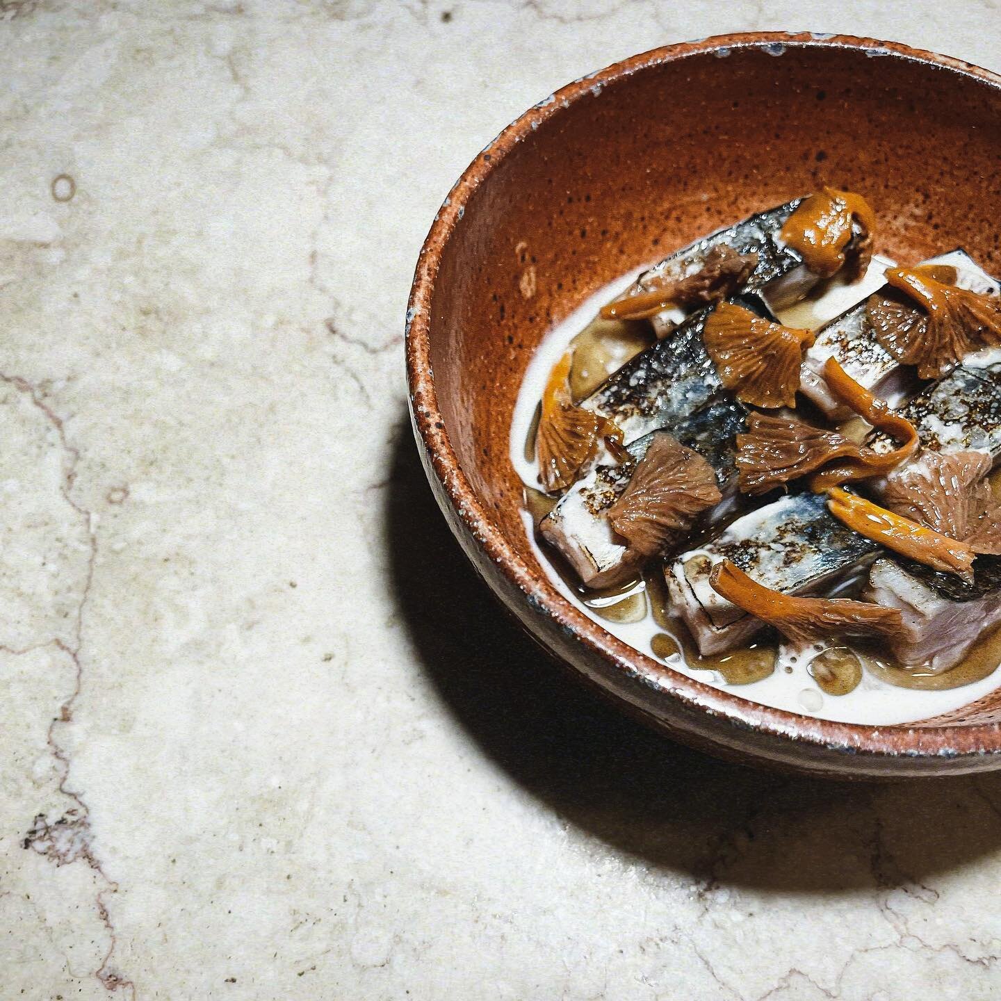 Blue Mackerel and Chanterelles 
in cashew milk
Dressed with mushroom vinegar . Meyer y scotch bonnet oil.