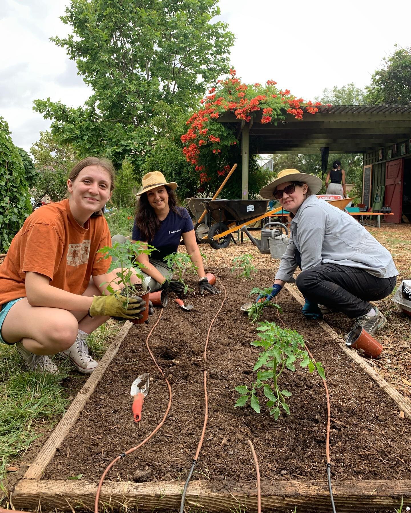 Big thanks to all the volunteers who helped out at Saturday&rsquo;s Community Garden Day at 24th Street!! We cleared and planted four beds with basil, cucumbers, eggplant, and more!! This summer our school gardens are open for volunteers! Together we
