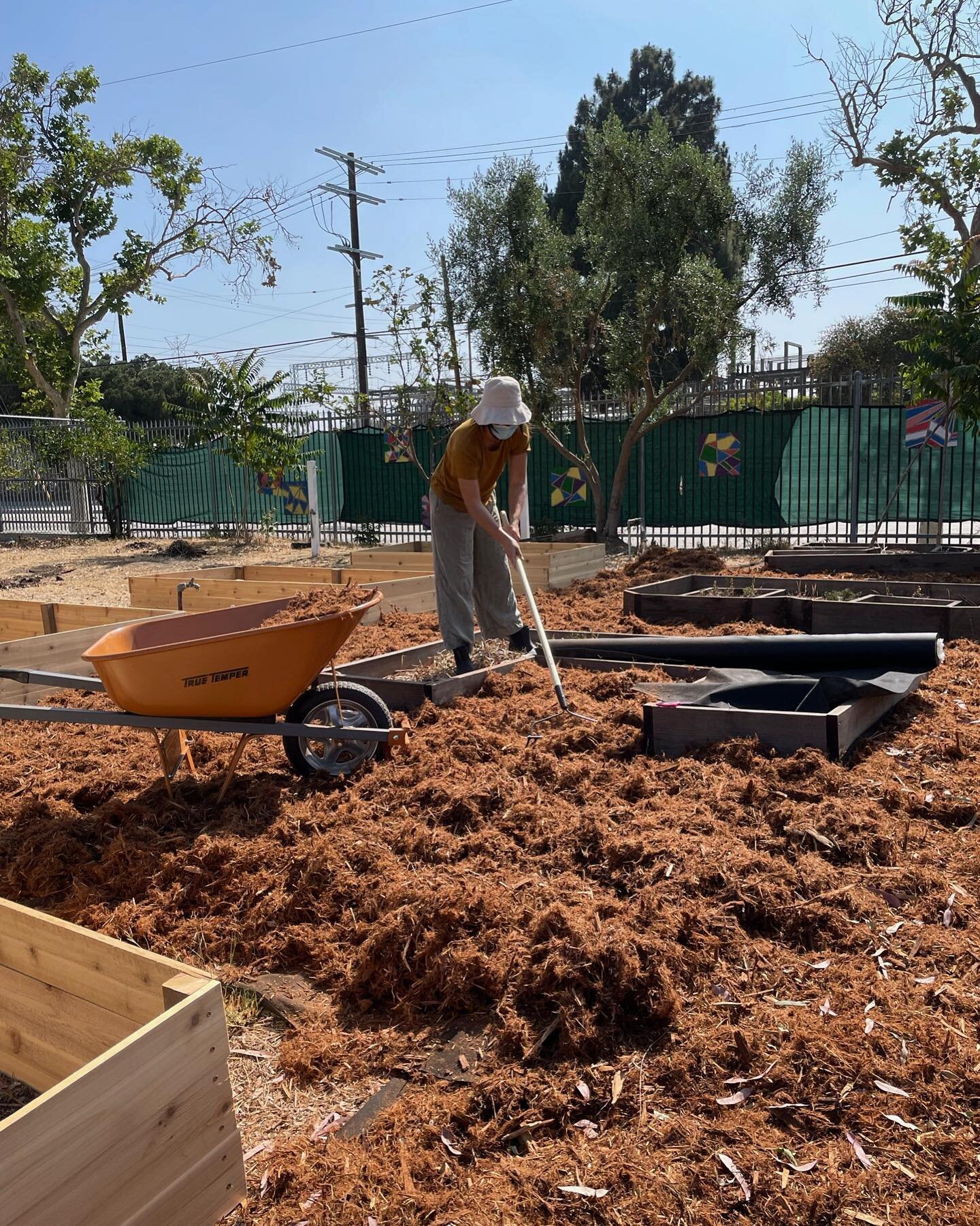 Last summer GSF teamed up with 99th St. Elementary to refurbish their on-campus garden. Today the garden has 13 raised beds, a shaded classroom area, and native sages. &ldquo;The space had a true transformation this year thanks to all the students, p