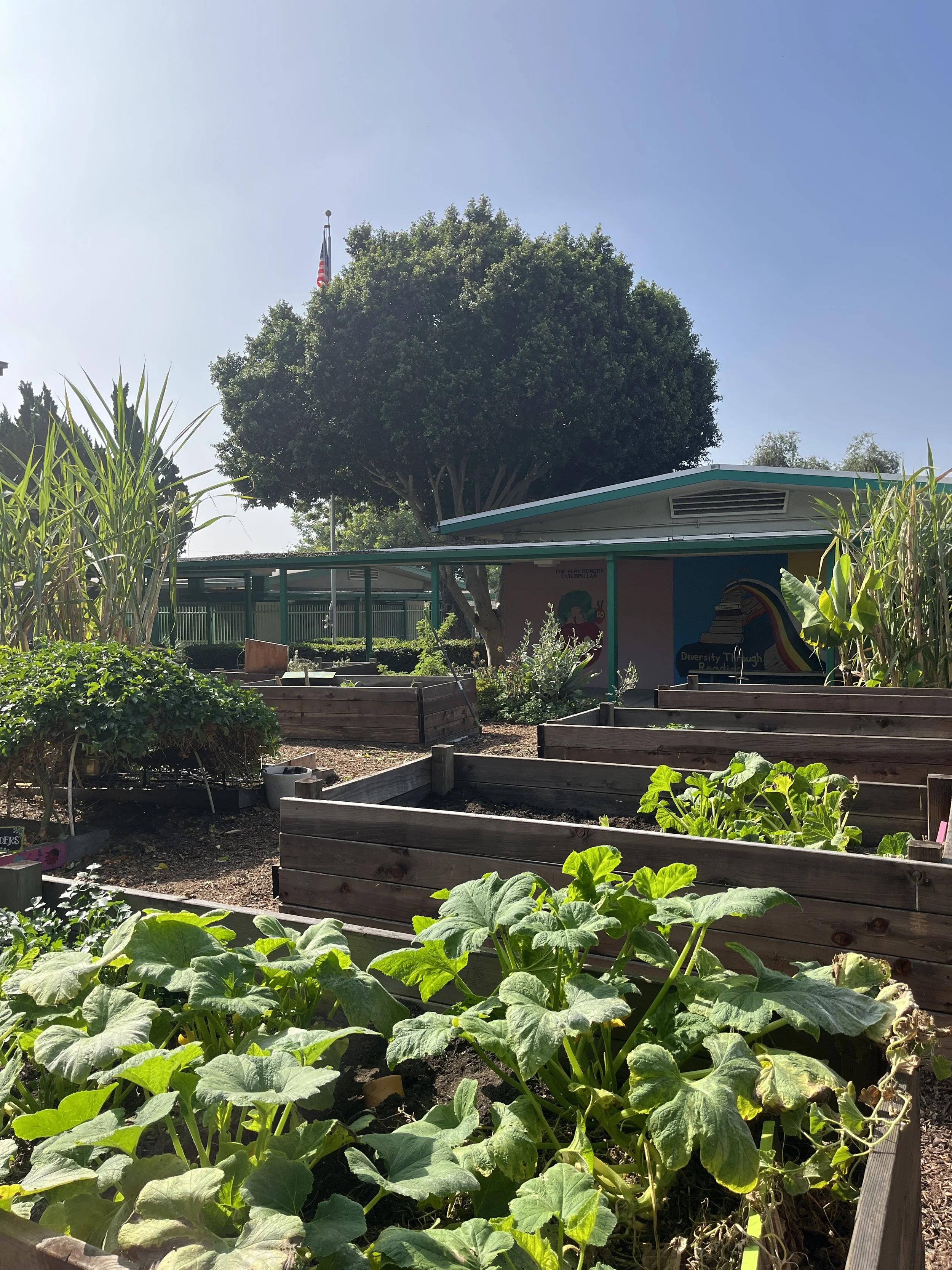 IMG_8831.JPG