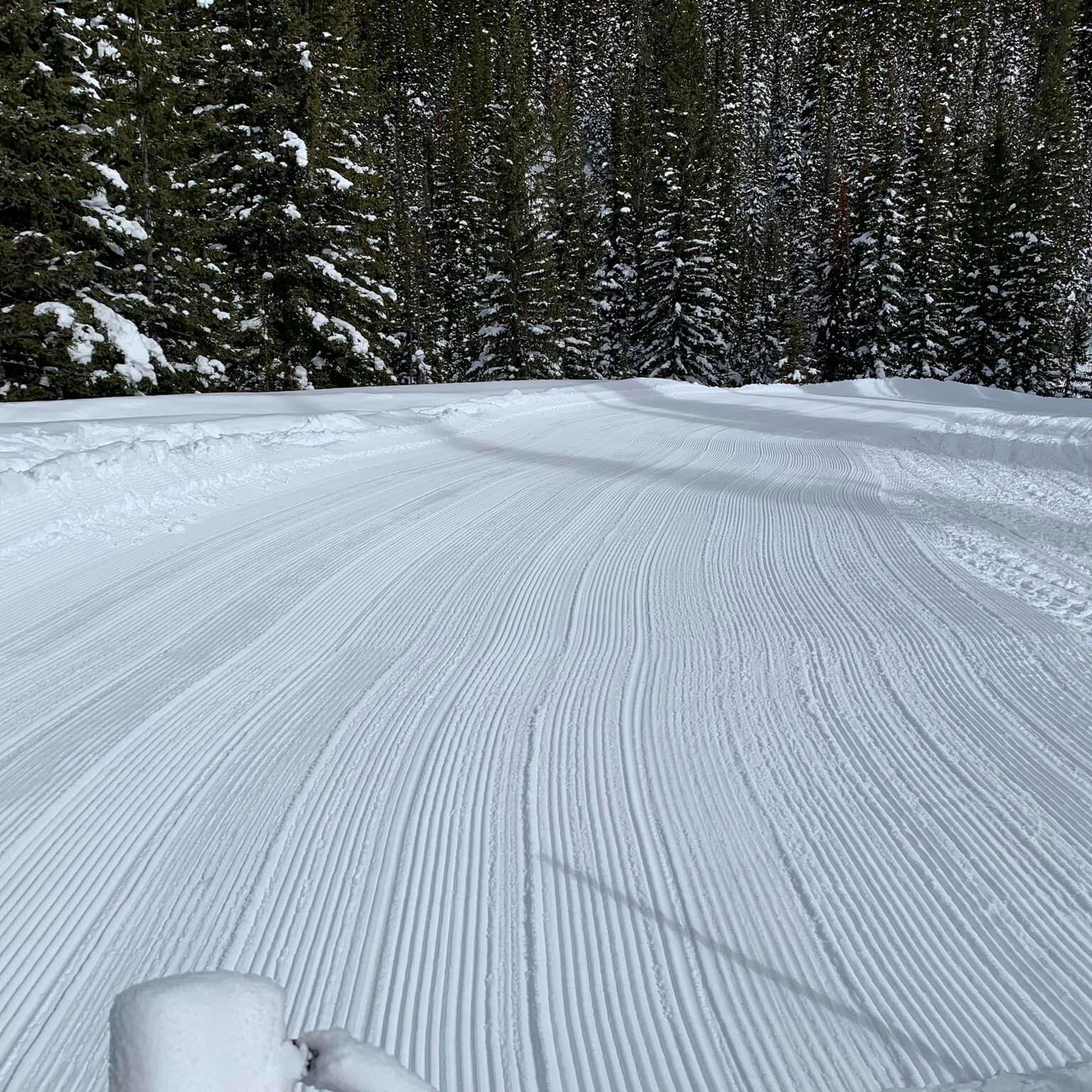 Some great snaps from todays Corbin groom! Loving the longer day light hours. Don't forget to turn your clocks ahead an hour tomorrow night for day light savings. 

Catch todays full grooming report on our website at www.ferniesnowmobile.com.

#sledf