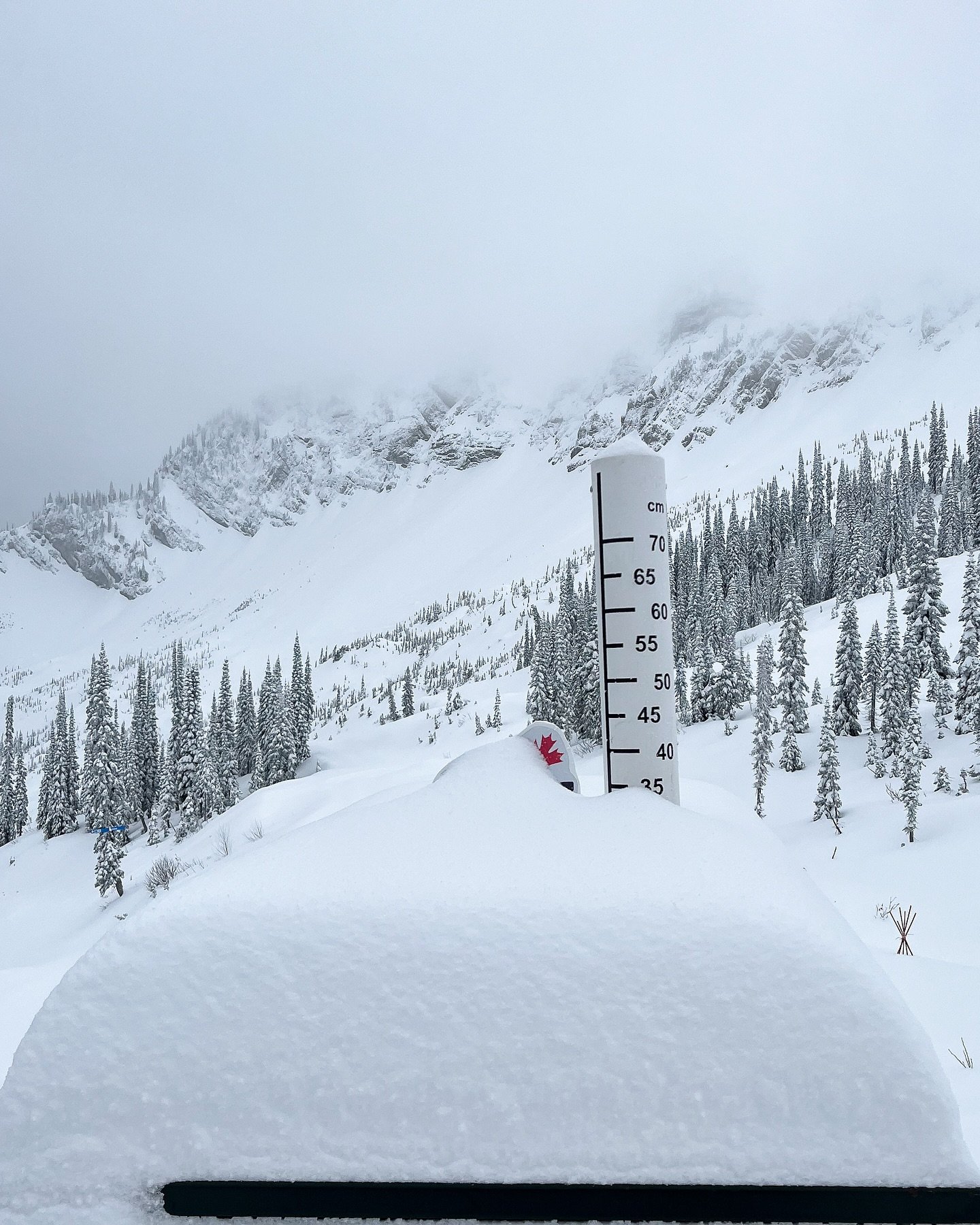 ❄️ Fernie Snow Means It&rsquo;s Almost Go Time! ❄️

In true Fernie fashion, the Mogul Smoker brought some serious snowfall with it! Wondering about current conditions or when grooming kicks off? We&rsquo;ve got you covered:

📅 Head to our website an