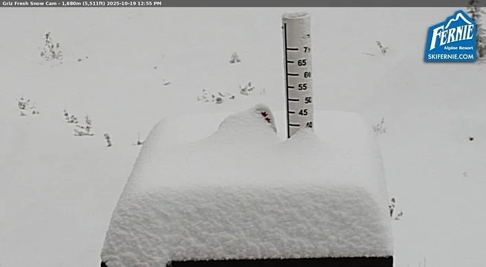 Your sign from the Griz just dropped 👀❄️

Snow is showing on the cams &mdash; and so is your last chance to grab a Fernie Snowmobile Association membership at the early bird rate.

Do it today and get ready for a legendary season ahead. 🔥

👉 ferni