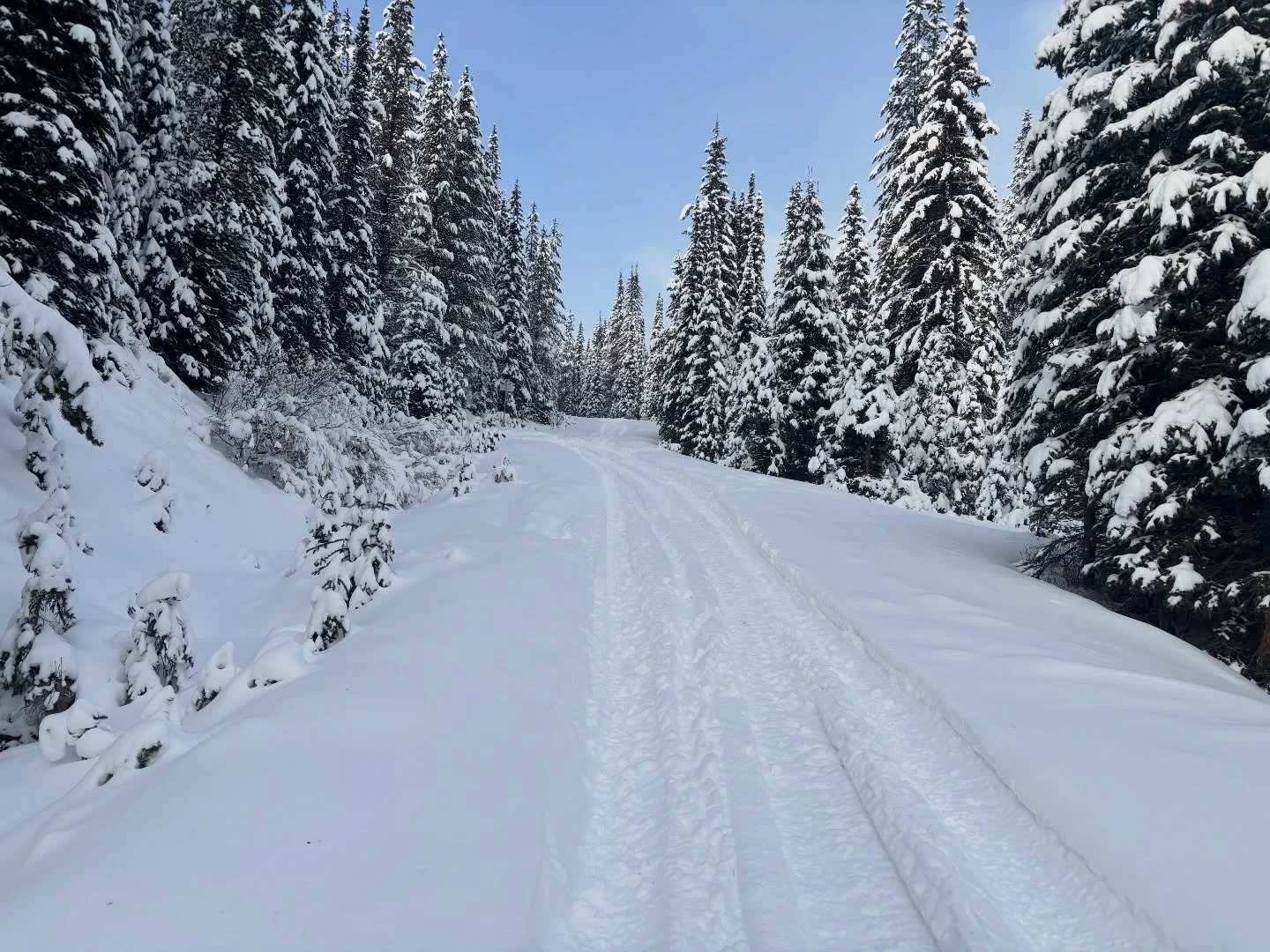 Snow report time, Fernie! ❄️
The question on everyone&rsquo;s mind&hellip; can we sled yet?

Terry headed out to Corbin yesterday for a quick conditions check, and here&rsquo;s what he found:
&bull; ~6 inches at the parking lots
&bull; ~2 feet mid-mo
