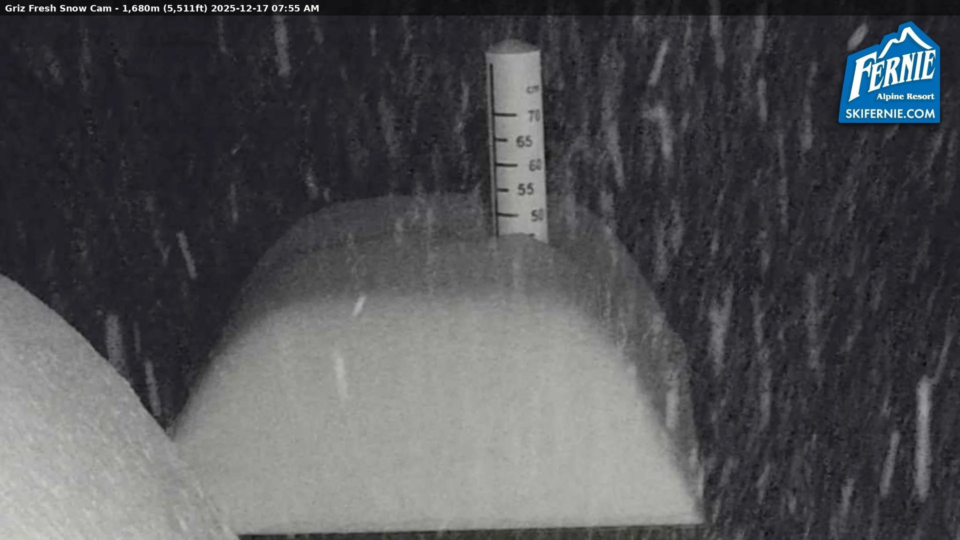 📷 Griz Pow Cam check: 45 cm of new snow on the stake this morning &mdash; and it&rsquo;s still coming down. Another 10+ cm is in the forecast before midnight. 🤿

We know you&rsquo;re watching and waiting too. The Rolling Hills webcam has been getti