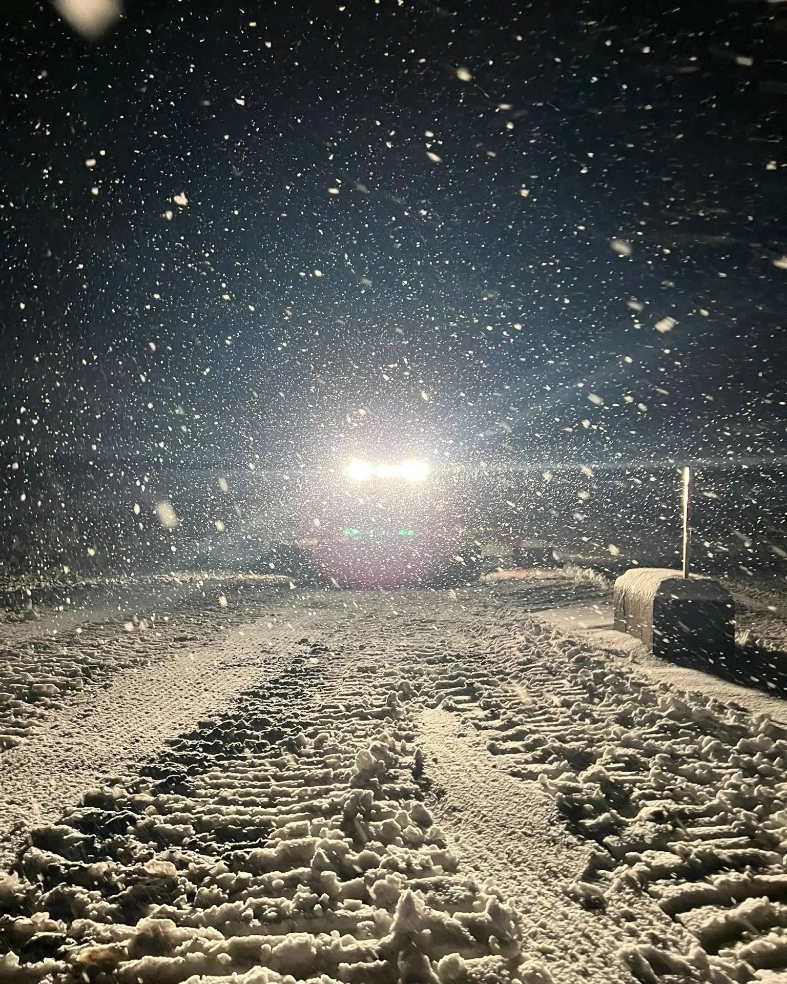 Did you see the size of those snowflakes overnight?  We picked up 22 cm of new snow in the past 12 hours!

Conditions update:
&bull; Variable conditions on lower trails with some open water
&bull; Great powder riding above 1,500 m

Today&rsquo;s even