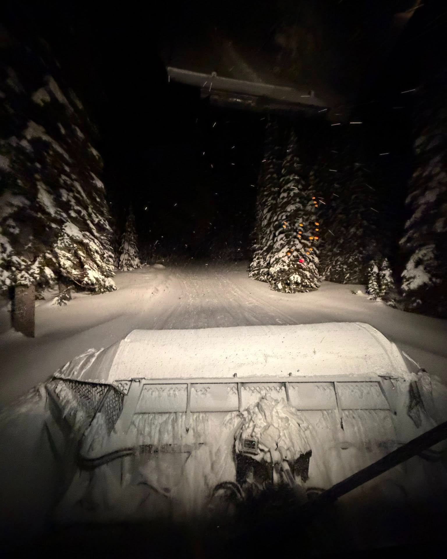 OOOH&hellip; we&rsquo;ve got a potato contest on our hands 🥔

One of the signs of a great groomer operator?
That perfect roll coming off the blade.
It&rsquo;s the sweet spot of curl, speed, and control &mdash; smooth hands, smooth trail. And of cour