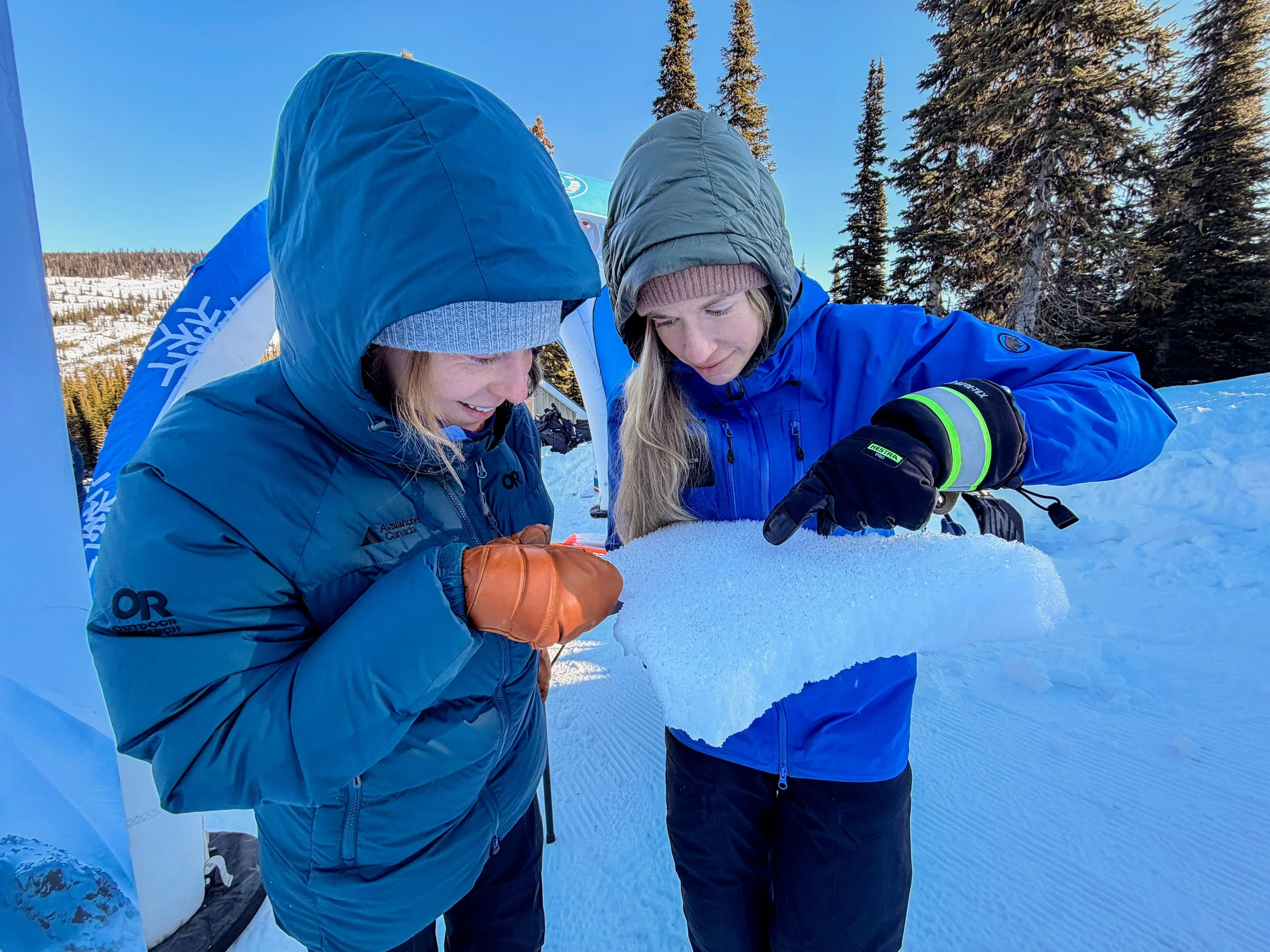 FSAAvyDays2026_@Nicole_Matei (10).JPG