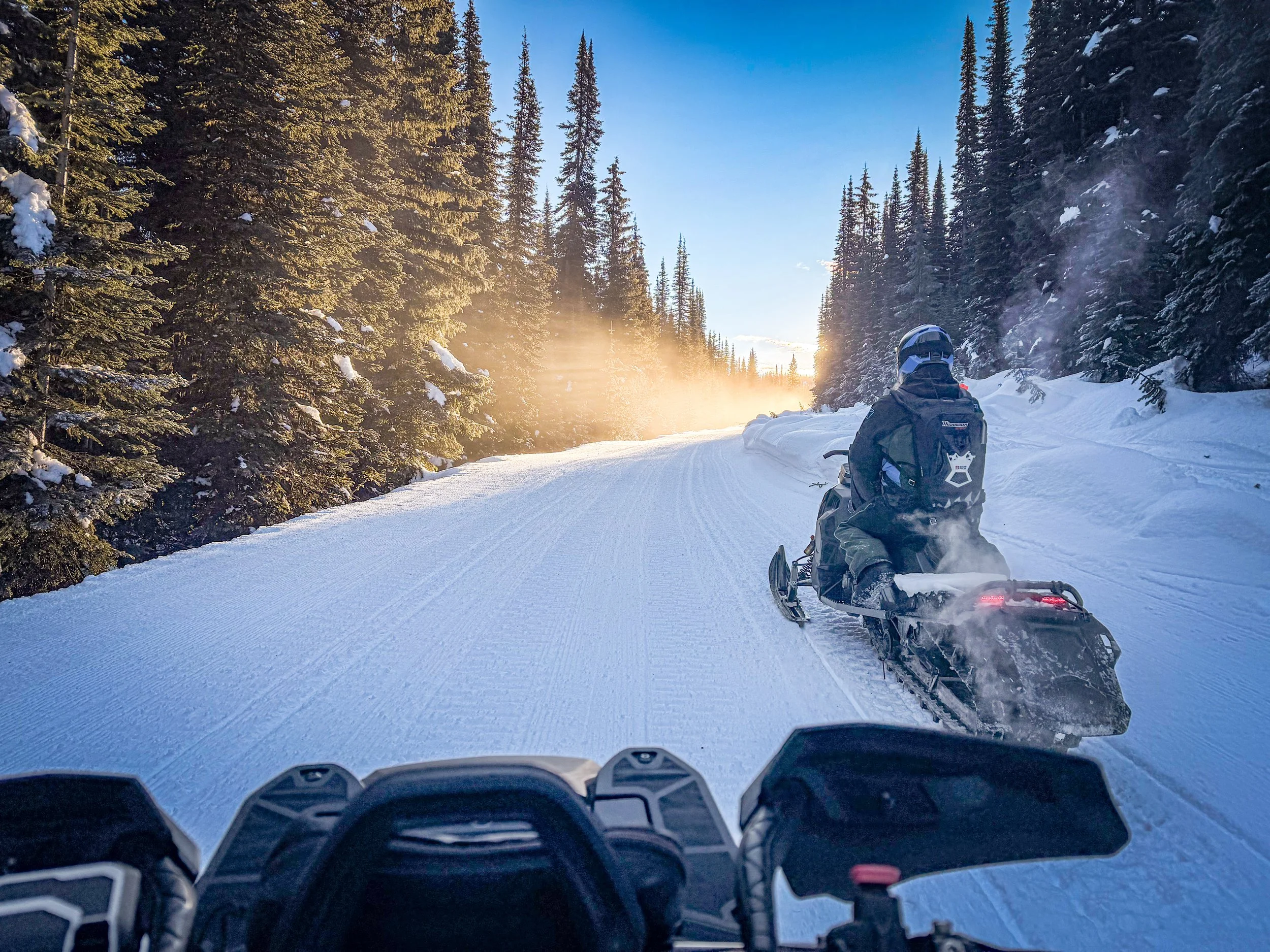 FSAAvyDays2026_@Nicole_Matei (13).JPG