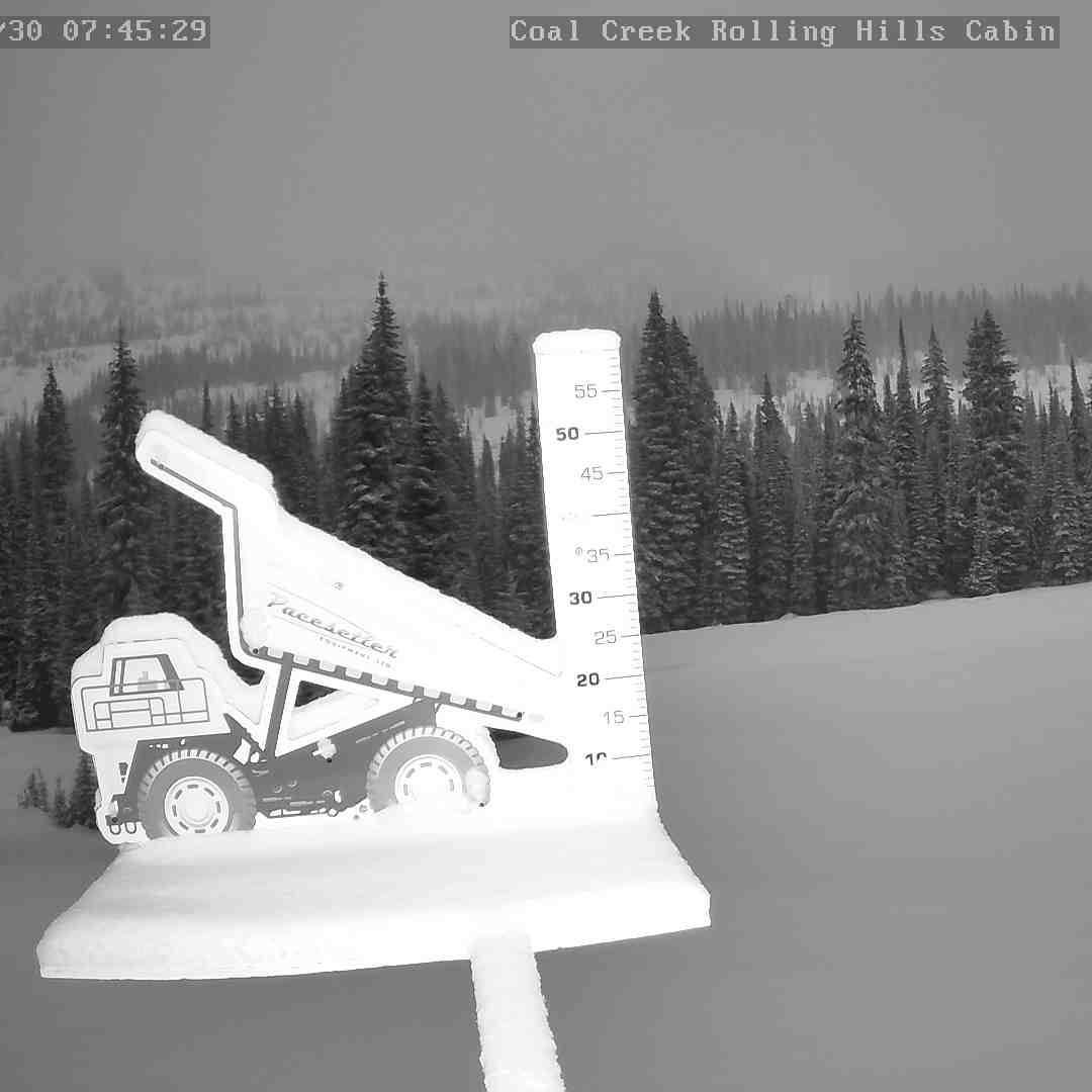 Winter is trickling back in!! 10cm of new snow overnight and still snowing at cabin elevation. We should see 20cm new snow before the end of the weekend in Fernie. 

Expect variable conditions on the Coal Creek trail between 2-4km today but good wint