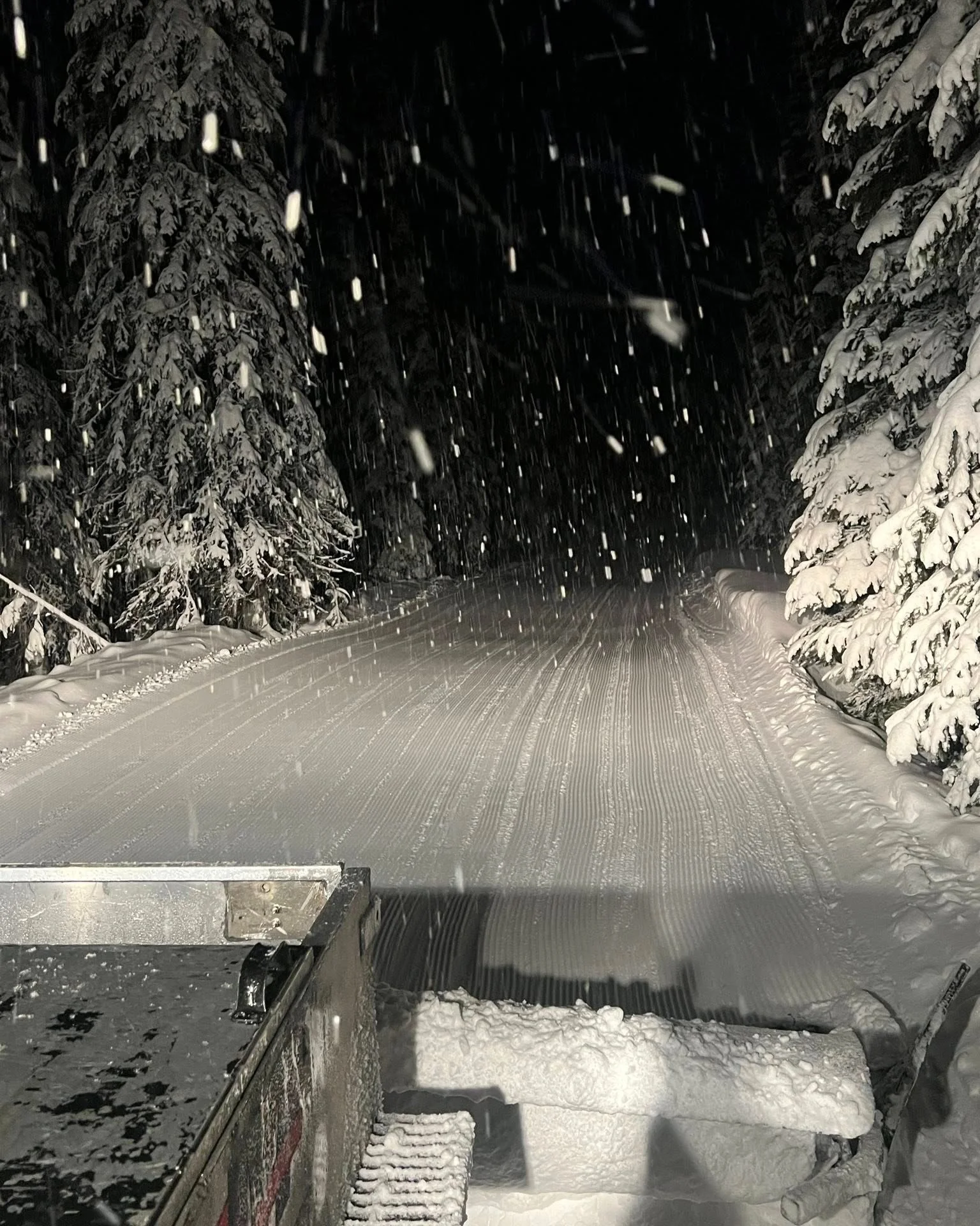 Are you riding in Fernie this weekend? We want to see your photos -  send via DM! Check out yesterdays snaps from Ron Pierce and Gary Cryderman - thanks for sharing gentlemen.

Coal Creek and Morrissey trails groomed last night. As a reminder freezin
