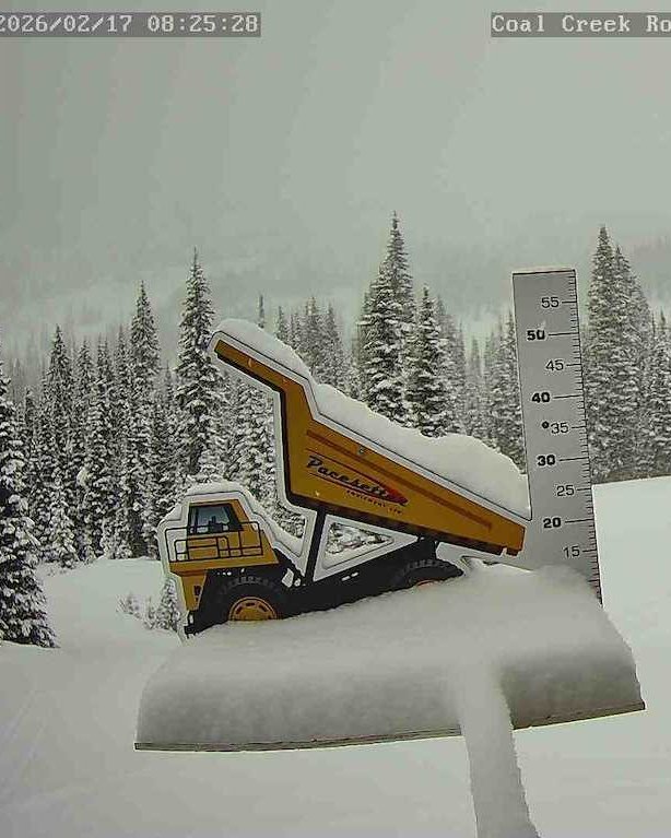 OOOH! BIG DUMP alert on the @pacesetter_equipment  POW CAM! We've received 22cm of new snow in the past 24 hours and 54cm in the past 7 days. Winter is back baby!

(*The Powcam snowboard is cleared between 6- 8pm each night by the groomers so we've r