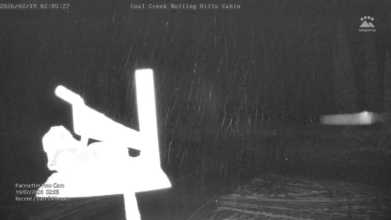 Another 25 cm in the past 24 hours brings this storm cycle to a classic FernieFactor-style 108 cm over the last 7 days.

With that rapid loading on a complex snowpack comes considerable avalanche hazard at all elevations. One of the strengths of ridi