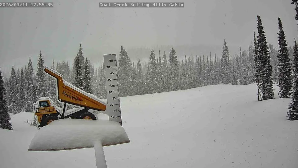Things are starting to stack up on the @pacesetter_equipment Pow Cam! 32cm of new snow in the past 24 hours. 

The crew took a few days of down time mid-week to tackle some cat maintenance but we are full steam ahead for the weekend including our Ann