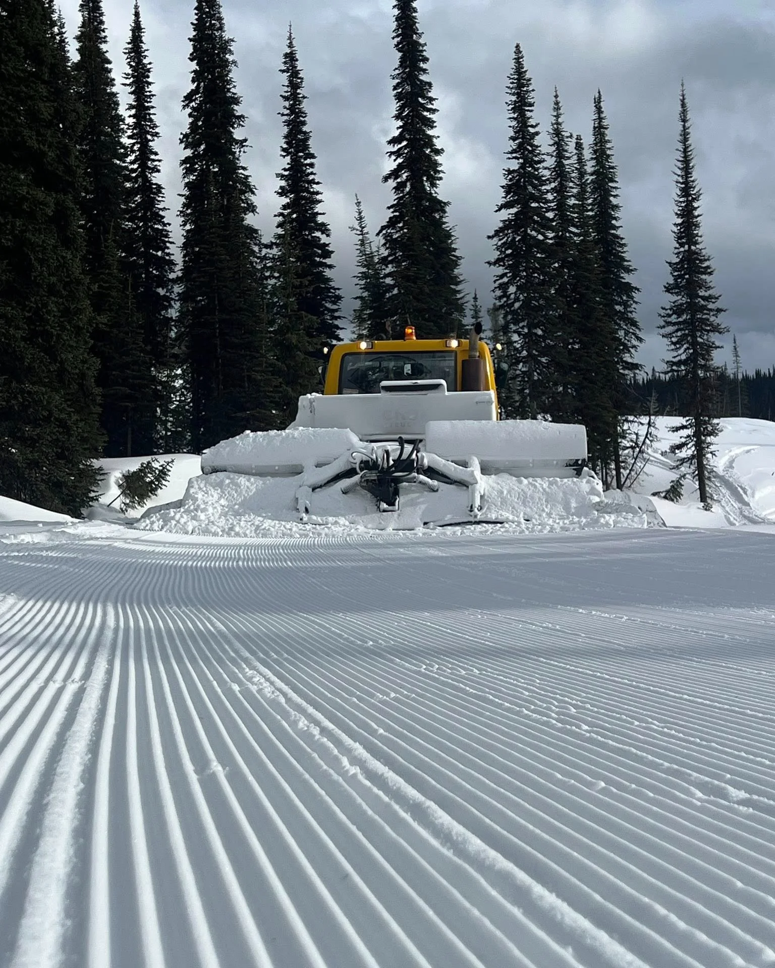 Good Morning Fernie Riders! It's snowing: 10cm overnight and still coming down with big fat flakes out there this morning. 41cm new snow this week. 

As a reminder, we've got variable conditions below 1540m so expect to deal with mud, frozen mud, mix