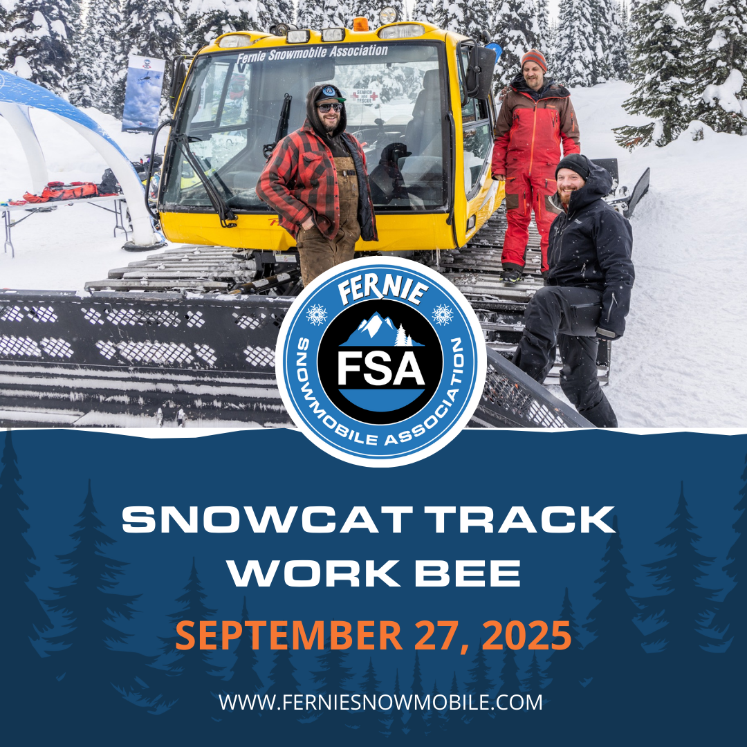 FSA SnowCat Track Work Bee