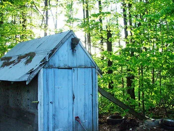 There's Always Room in the Woodshed