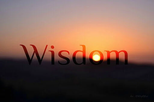 Powerlessness Is The Beginning of Wisdom