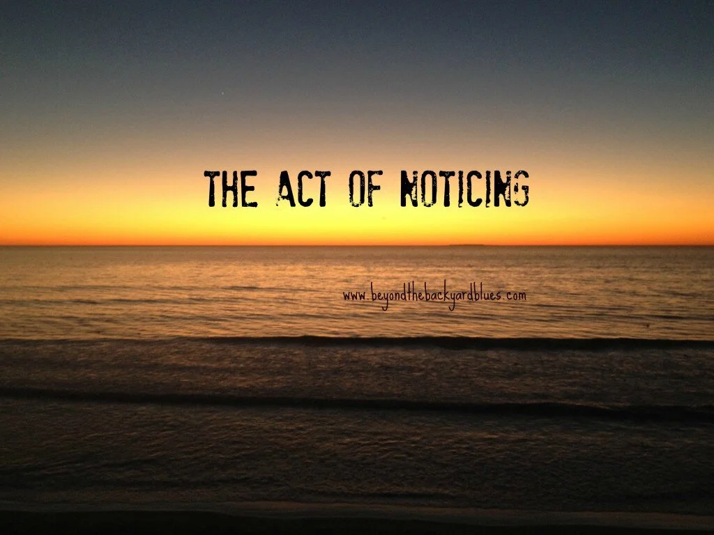 How Do You Notice?