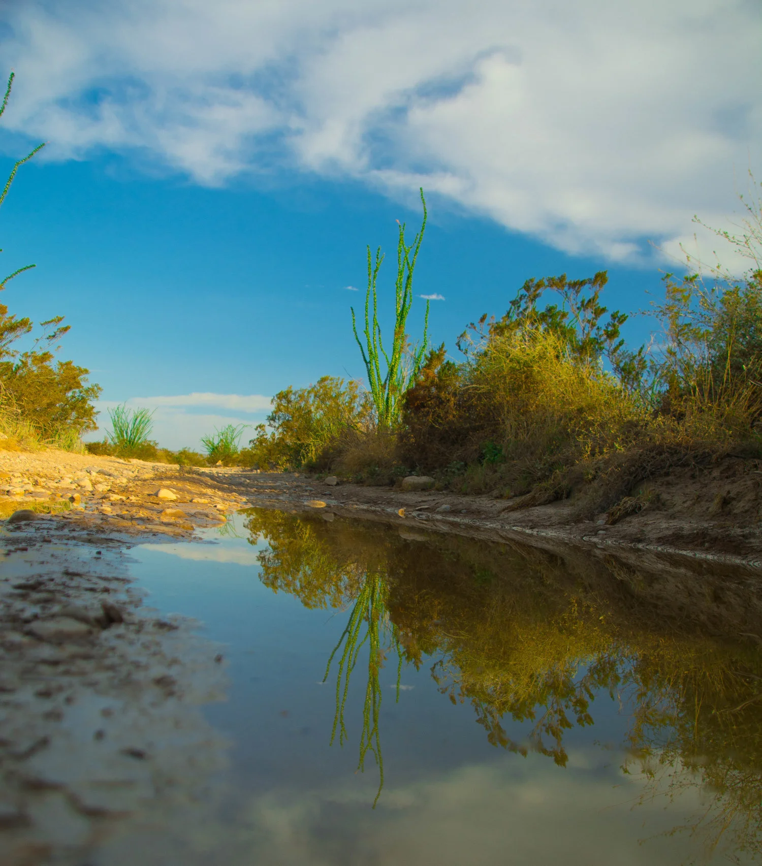 In Search of The Purposeful Life