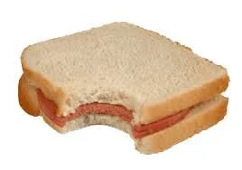 I Can't Blame the Baloney Sandwich