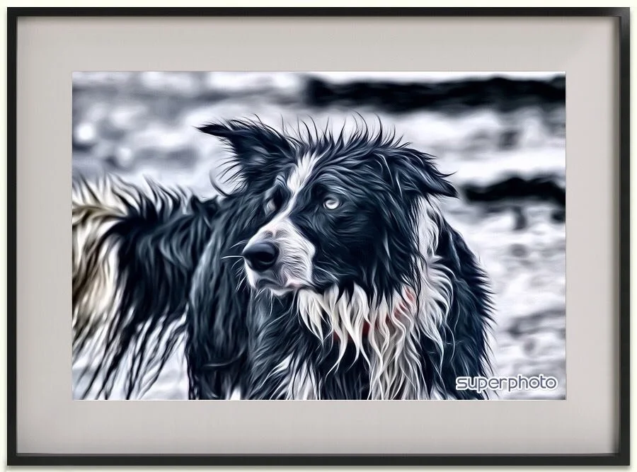 PRIVATE CLUB EVENT:  SAG Paint &amp; Sip at the Feld - 