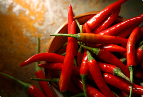 Raising Red Hot Chili Peppers