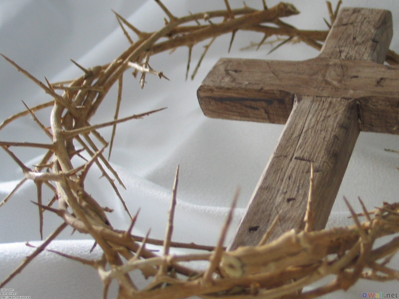 All The Losers Get A Crown