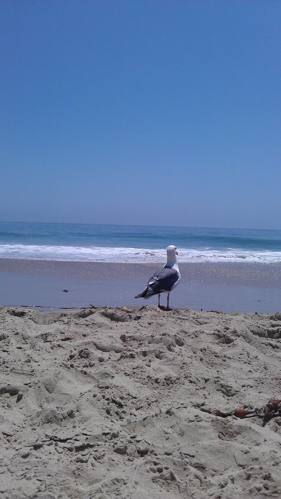 May I carry that for you?