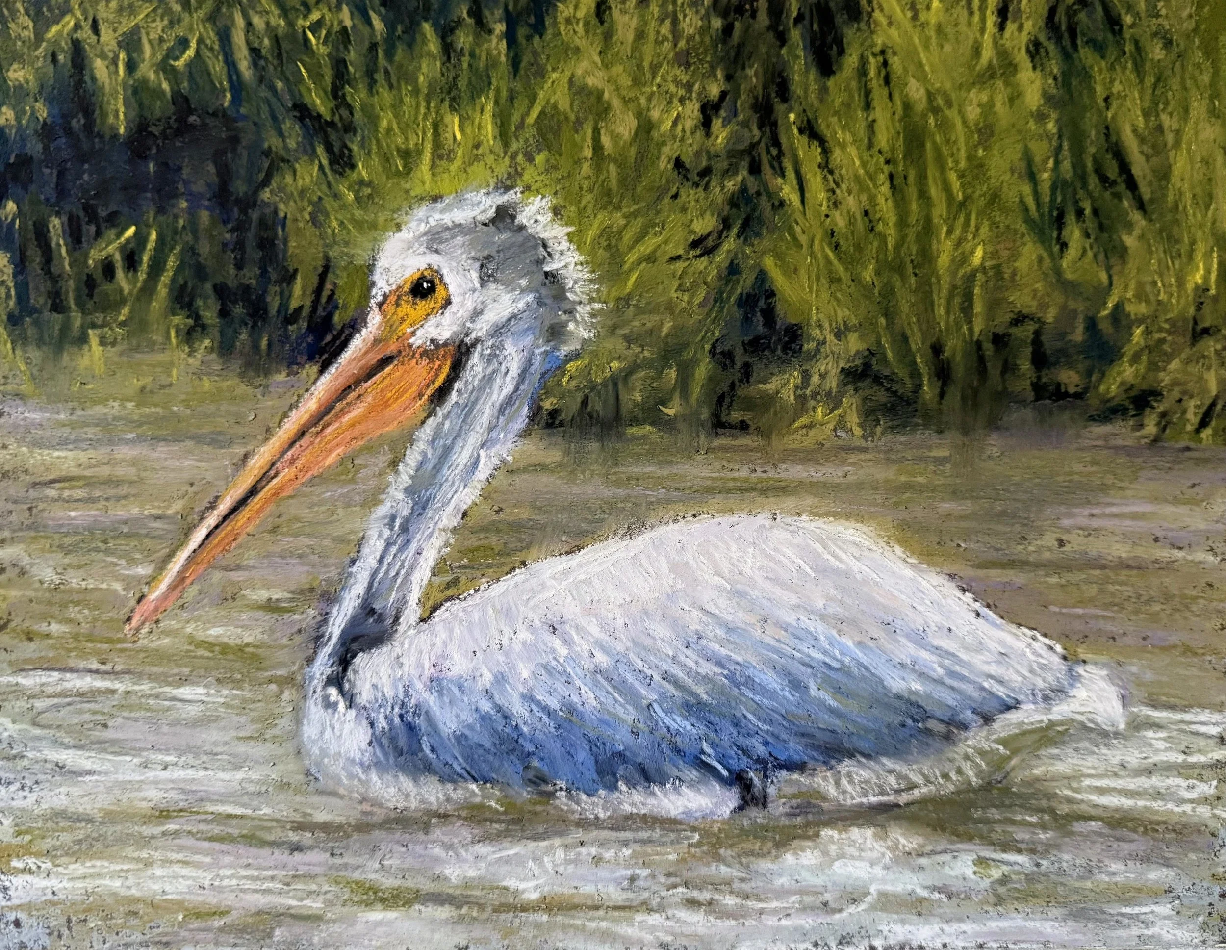 Pelican Landing 12x9 $275_E.JPG