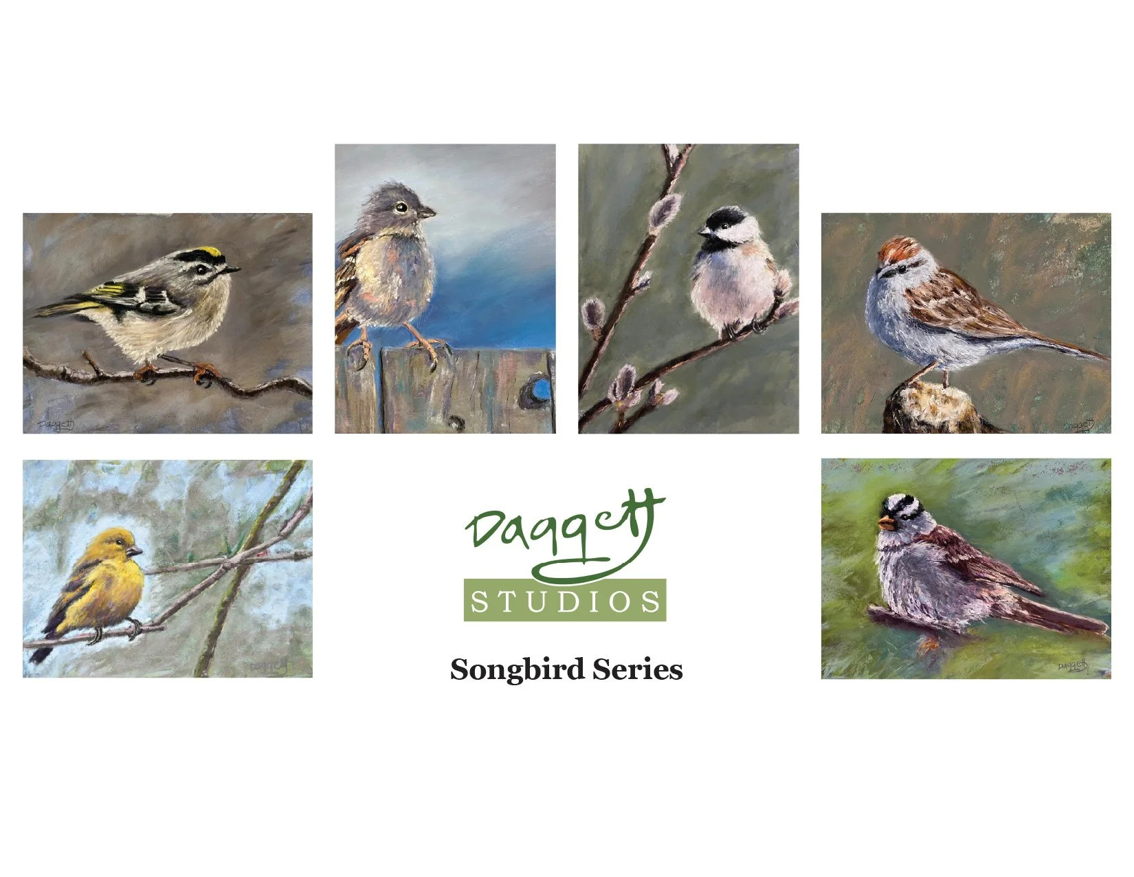 Songbird Series.jpg