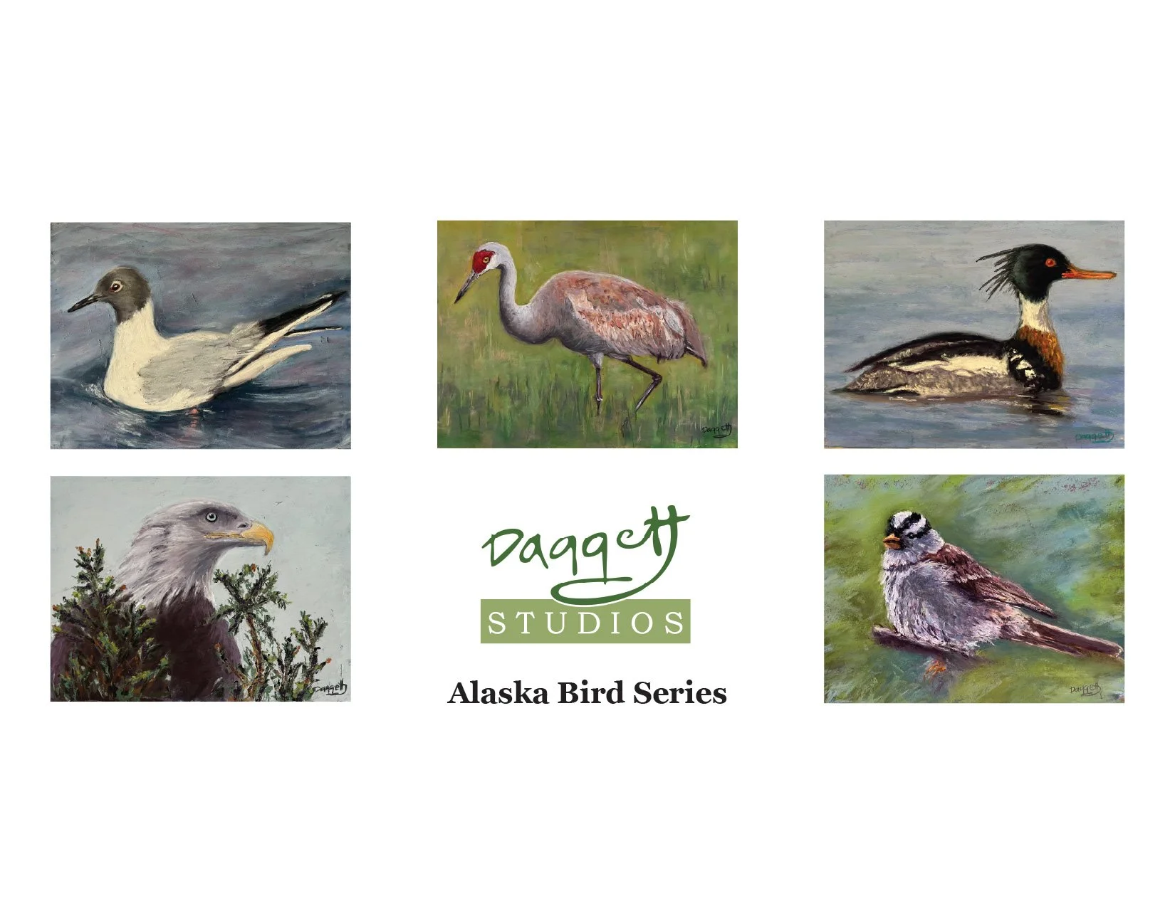 Alaska Bird Series.jpg