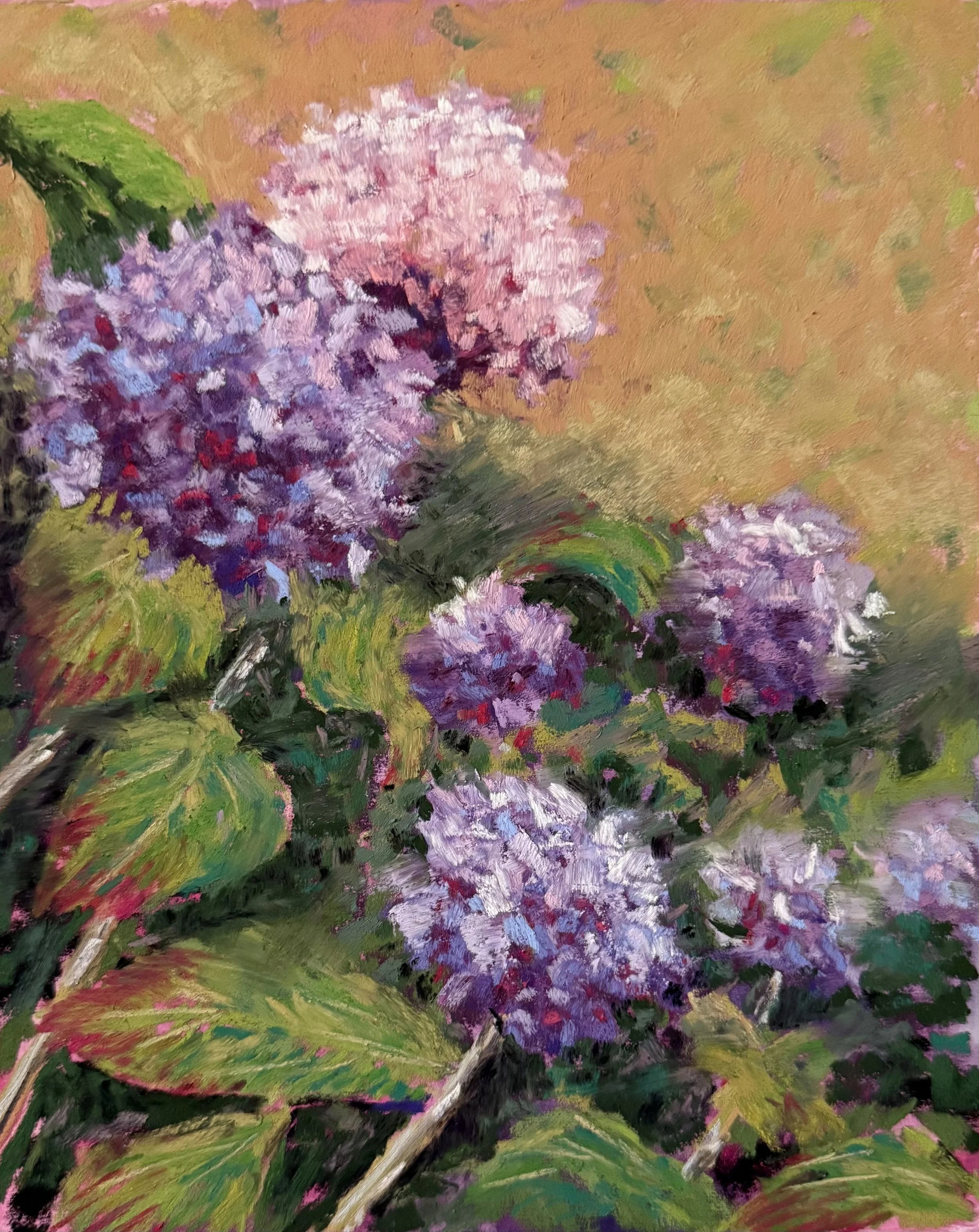 Summer Hydrangeas 8 x 10.jpeg