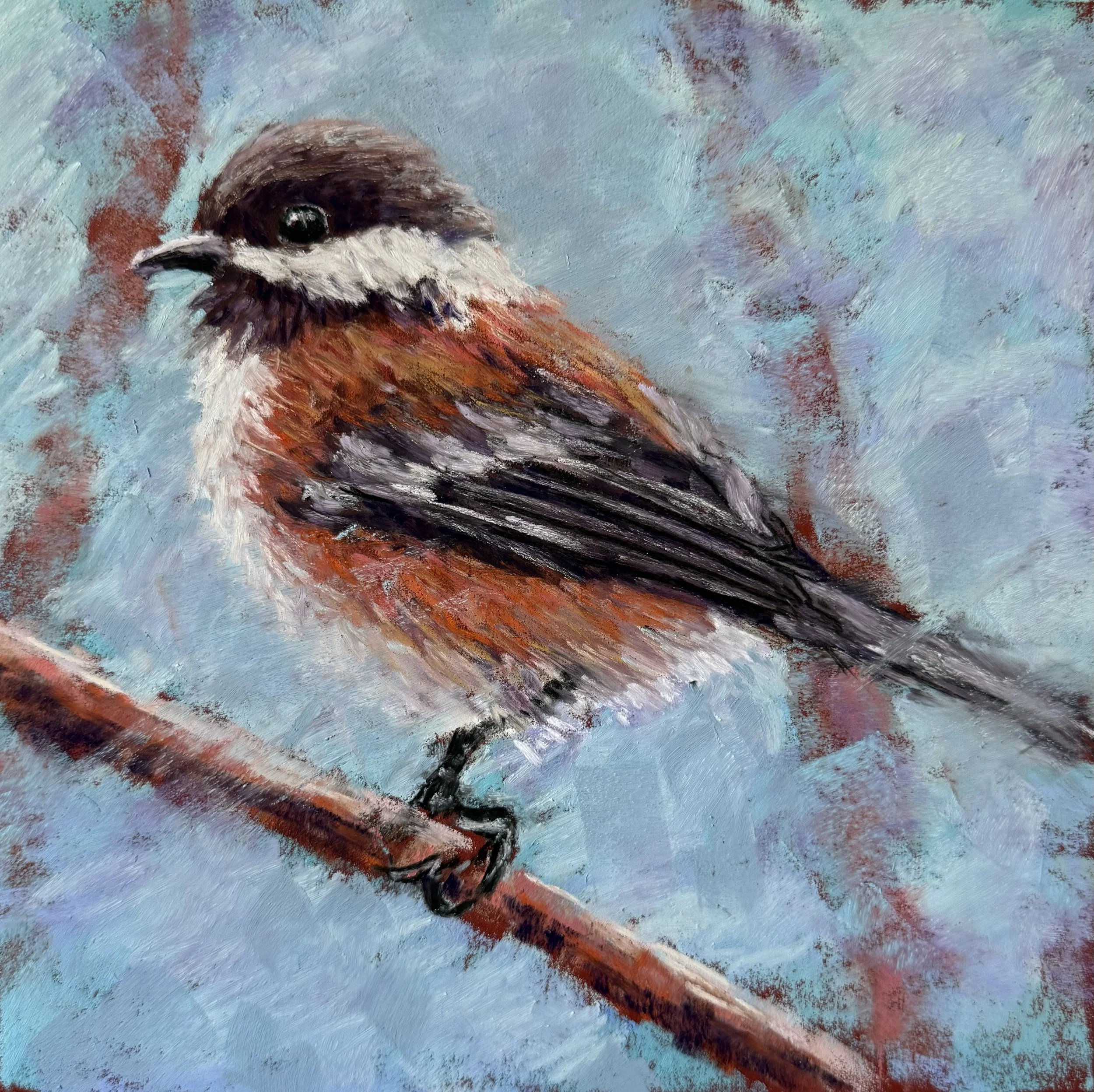 Chestnut Backed Chickadee 8x8 $200.jpeg