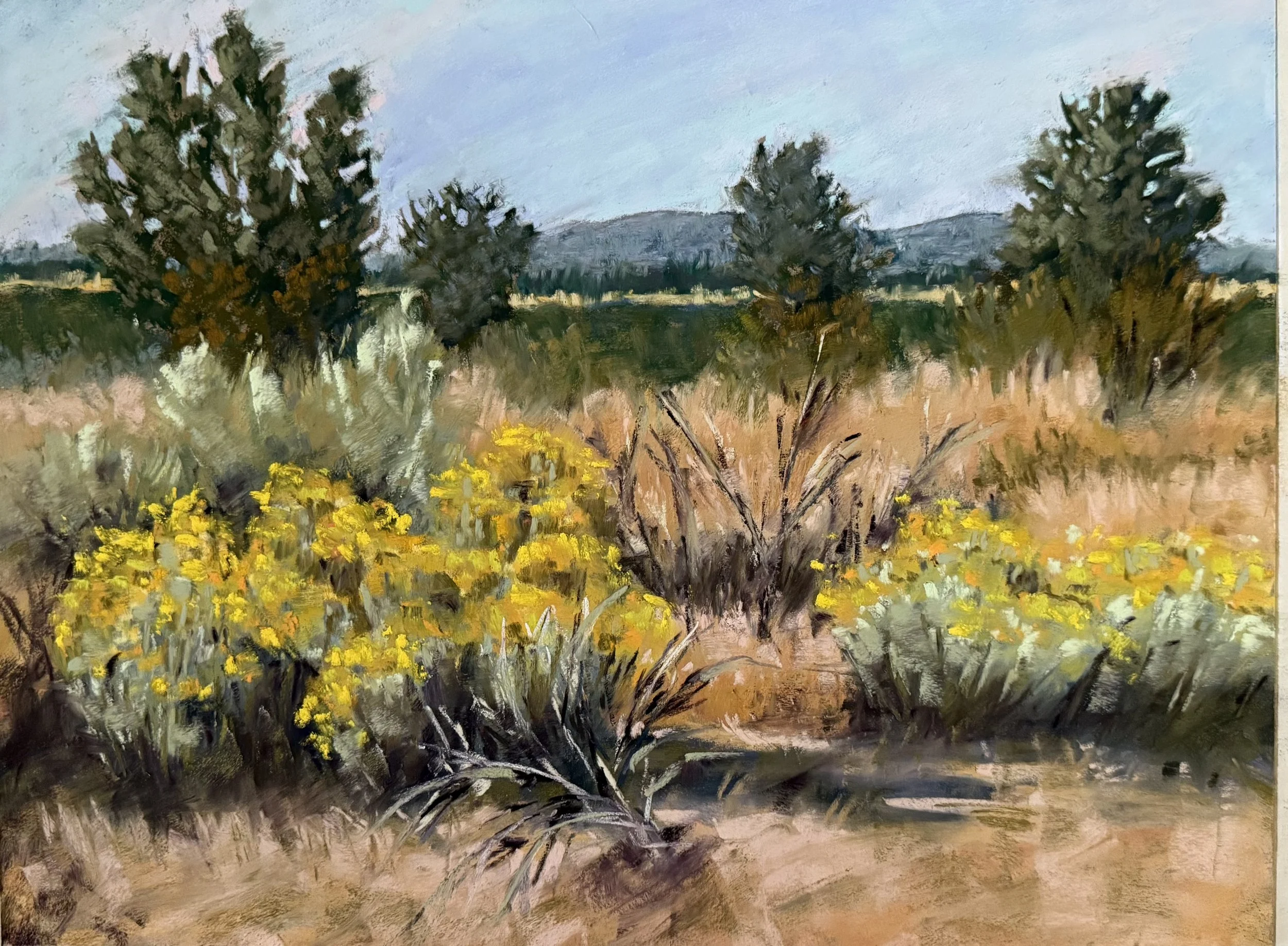 Sage 12 x 16 $375.jpeg