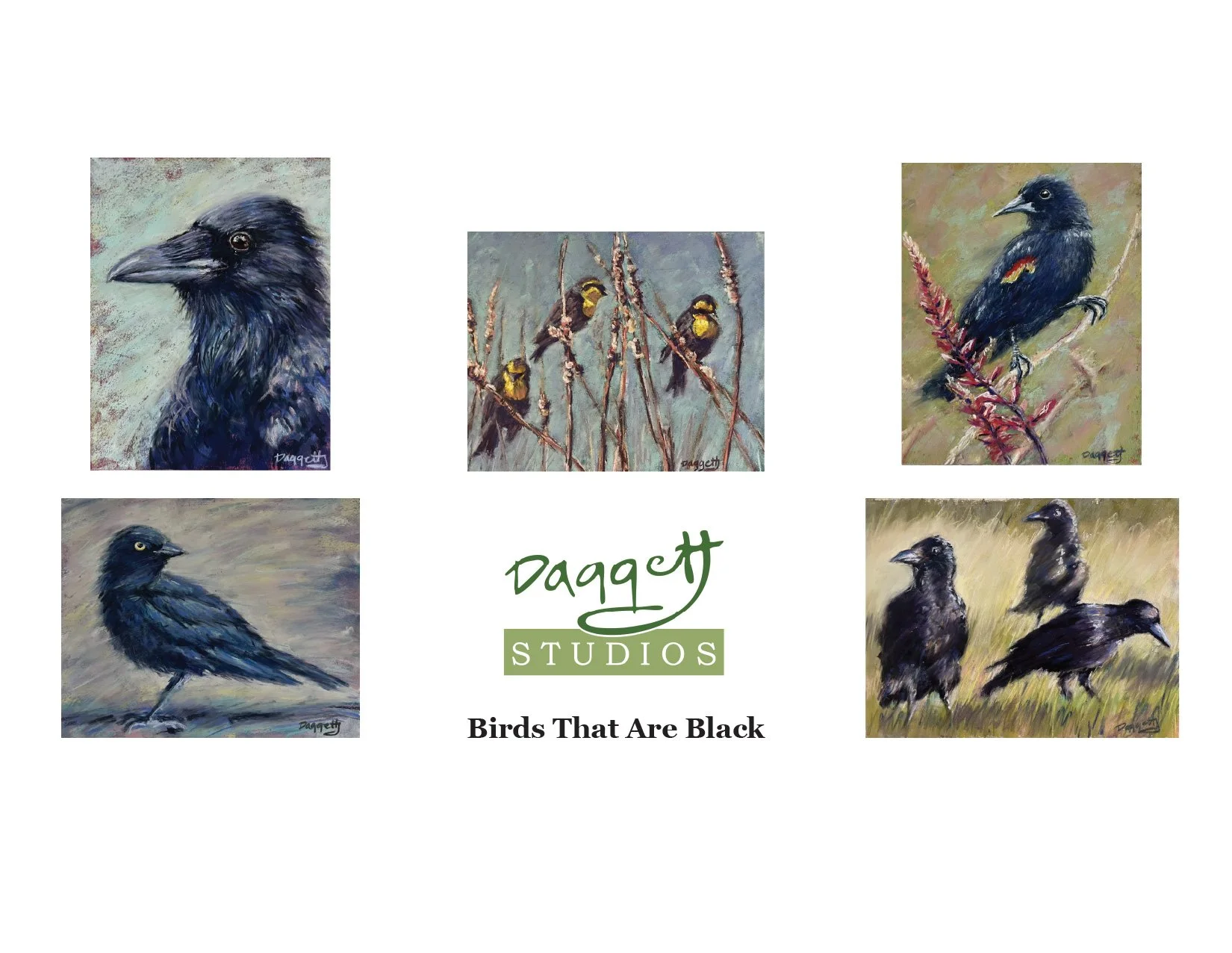 Black Birds Series.jpg