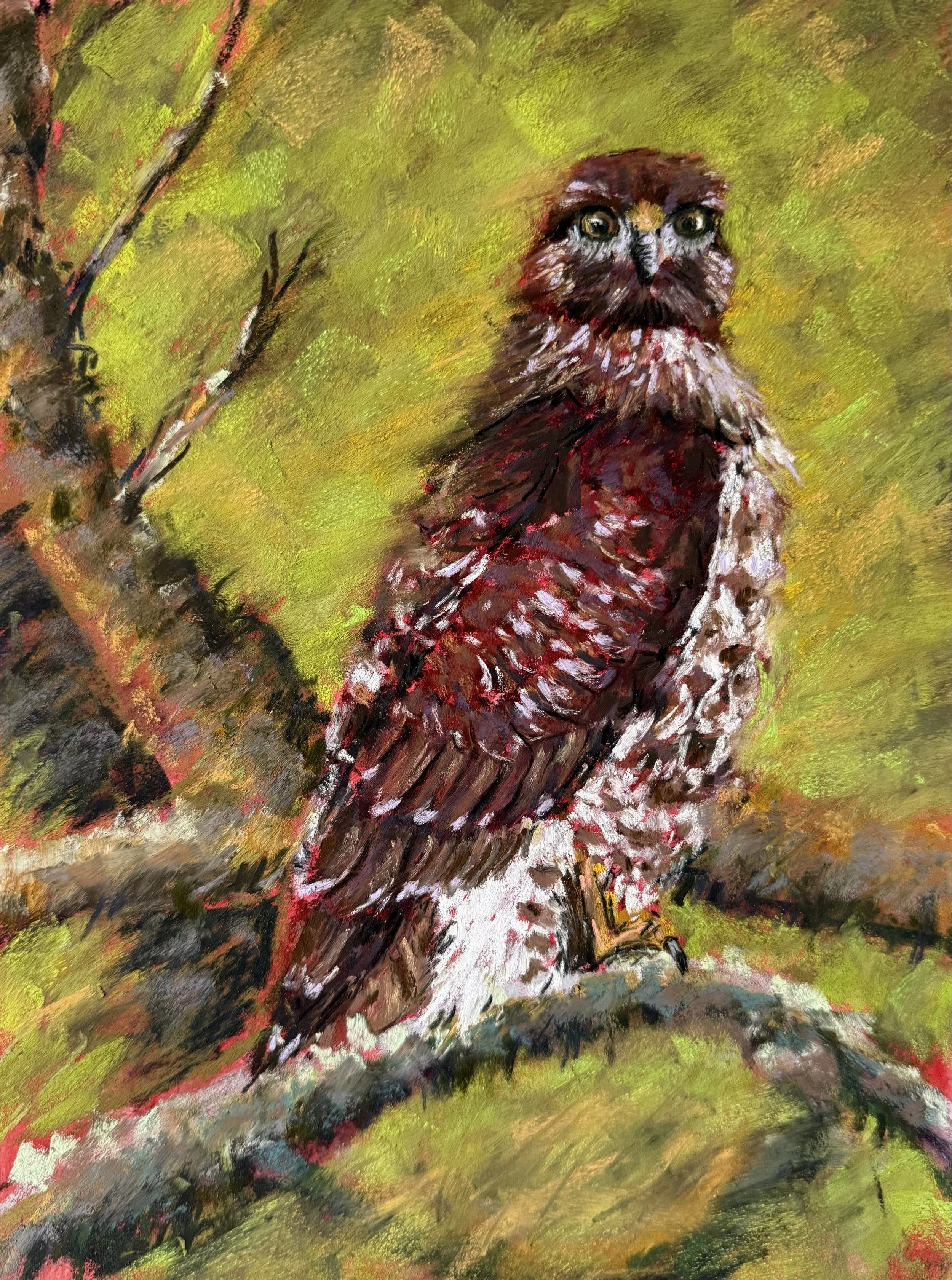 Watchful Eye 9 x 12.jpeg