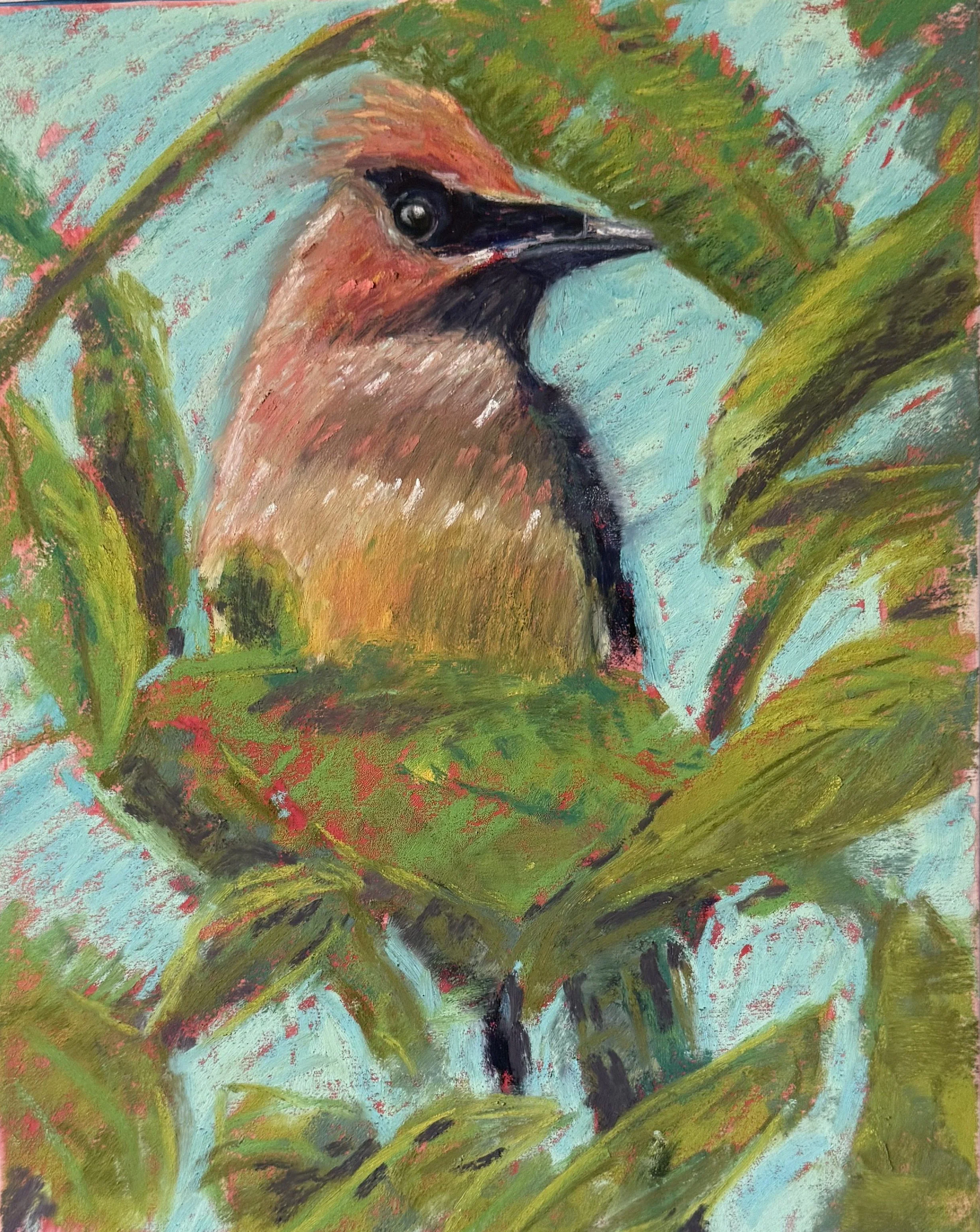 Cedar Waxwing in Hiding 8 x 10.jpeg