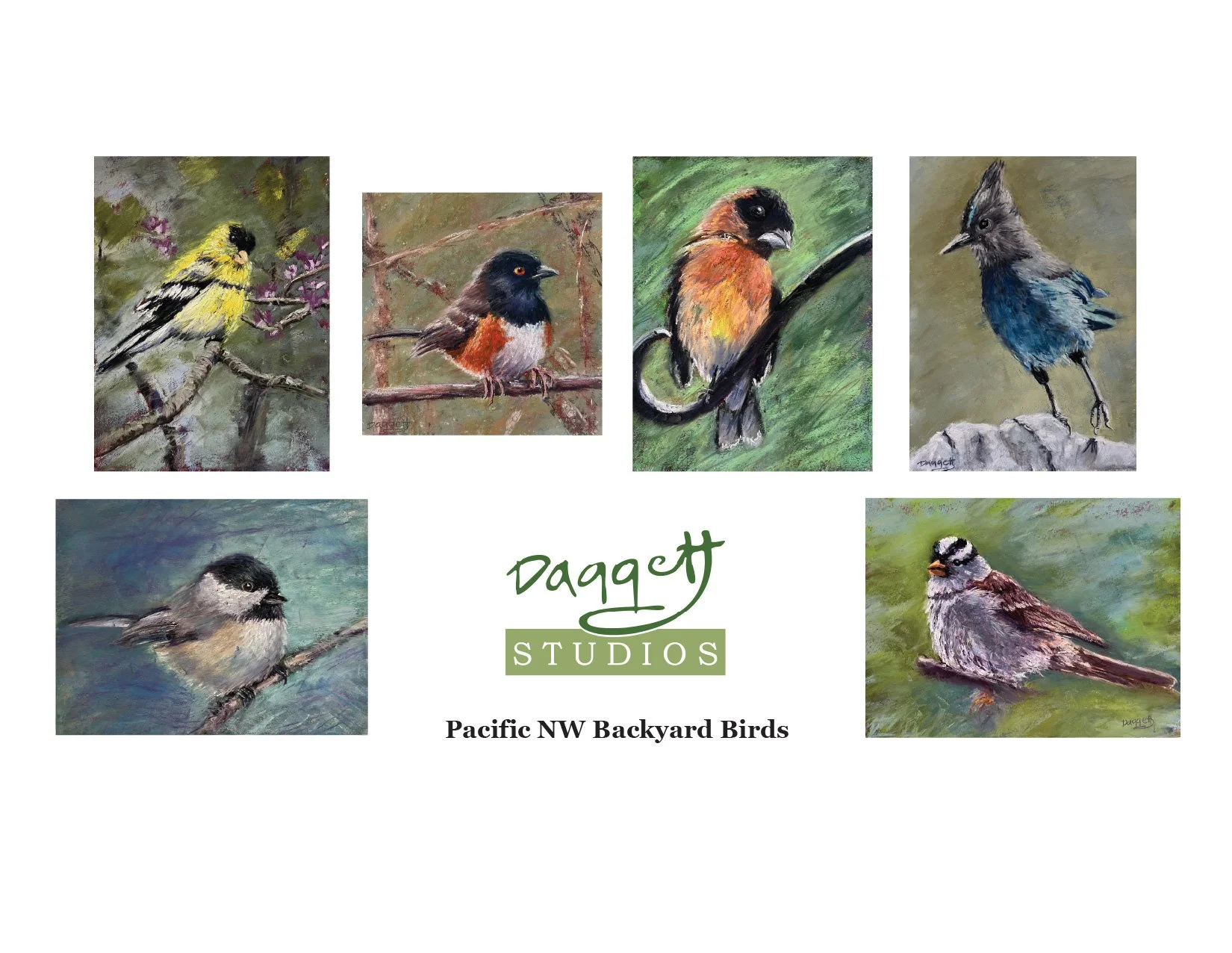 Pacific NW Backyard Birds Series.jpg