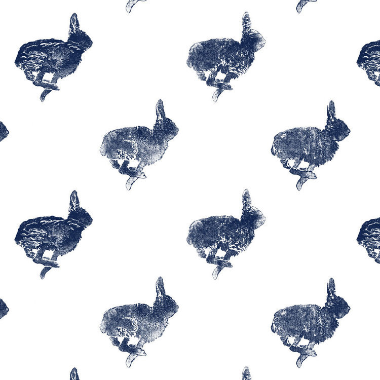 Bun-Wall-Night-large.jpeg