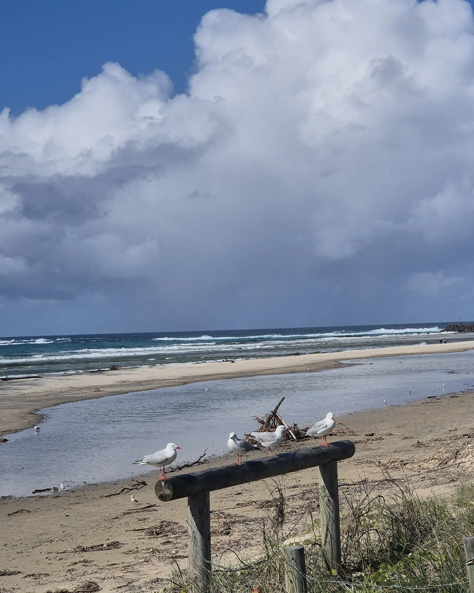 The beaches at Kingscliff certainly copped a battering after the last cyclone. @at_the_beaches_of_the_world #colours #colour #nature #inspiredbynature